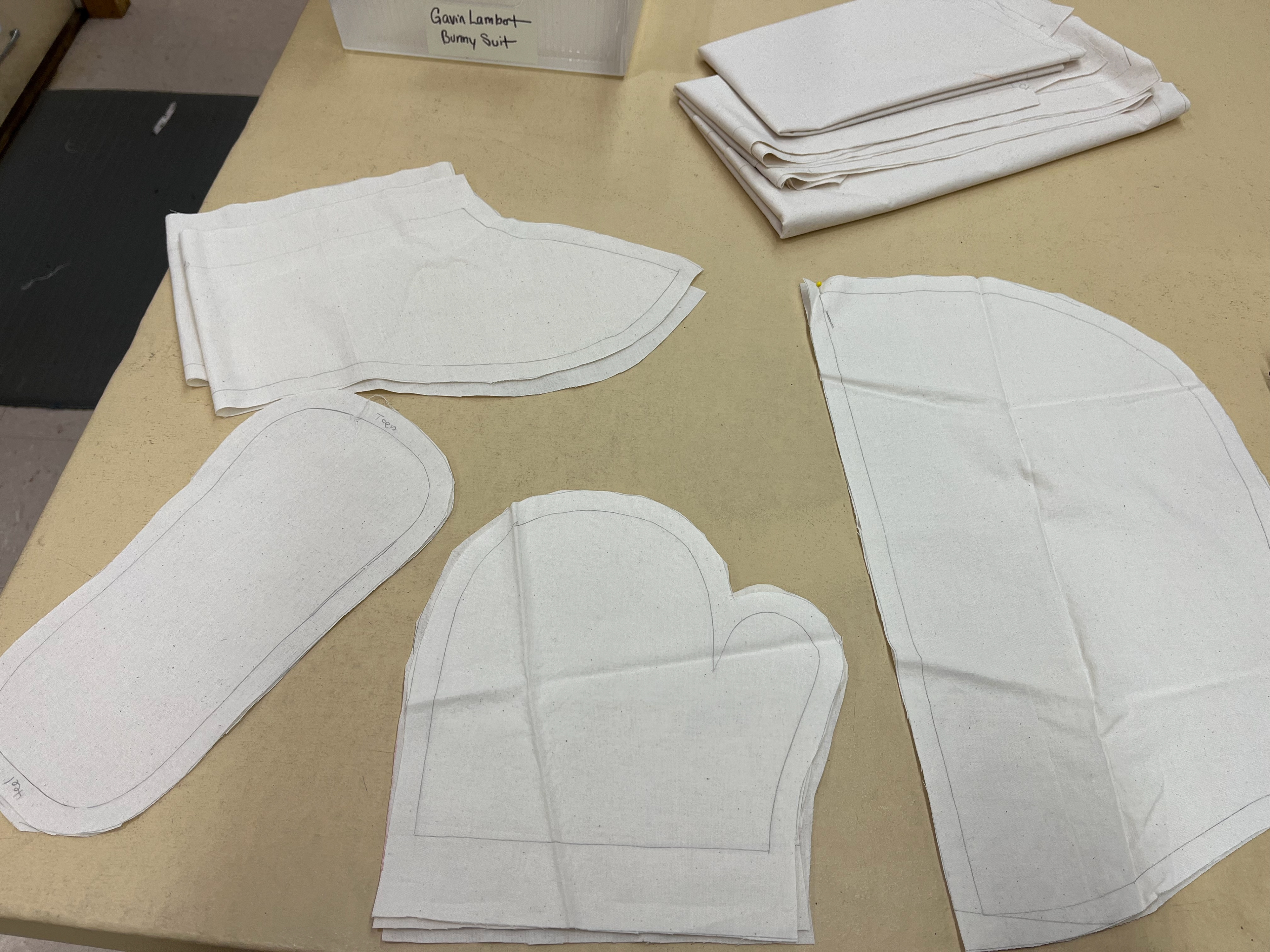 Ralphie's Bunny Suit Mockup