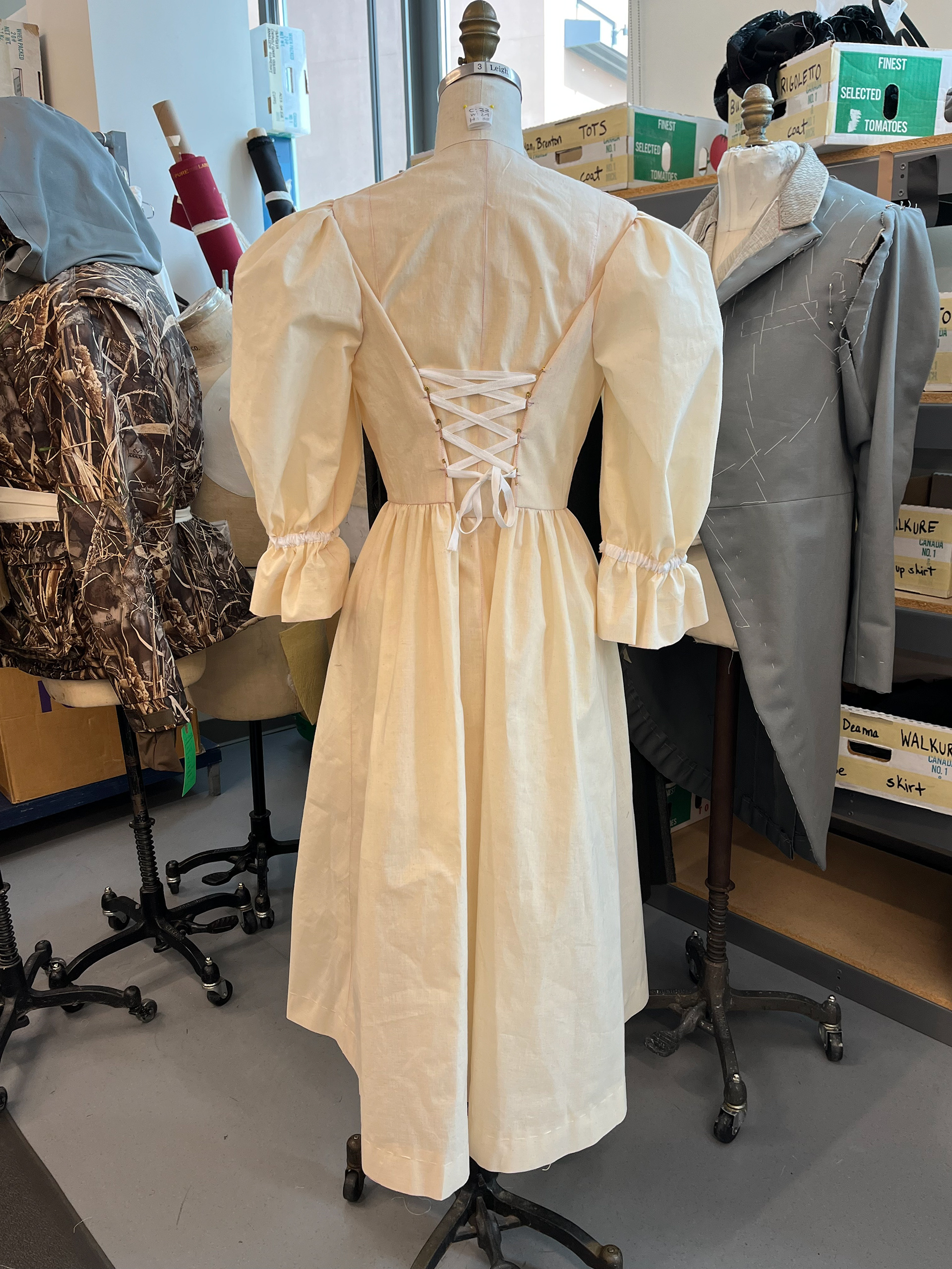 Sieglinde dress mockup