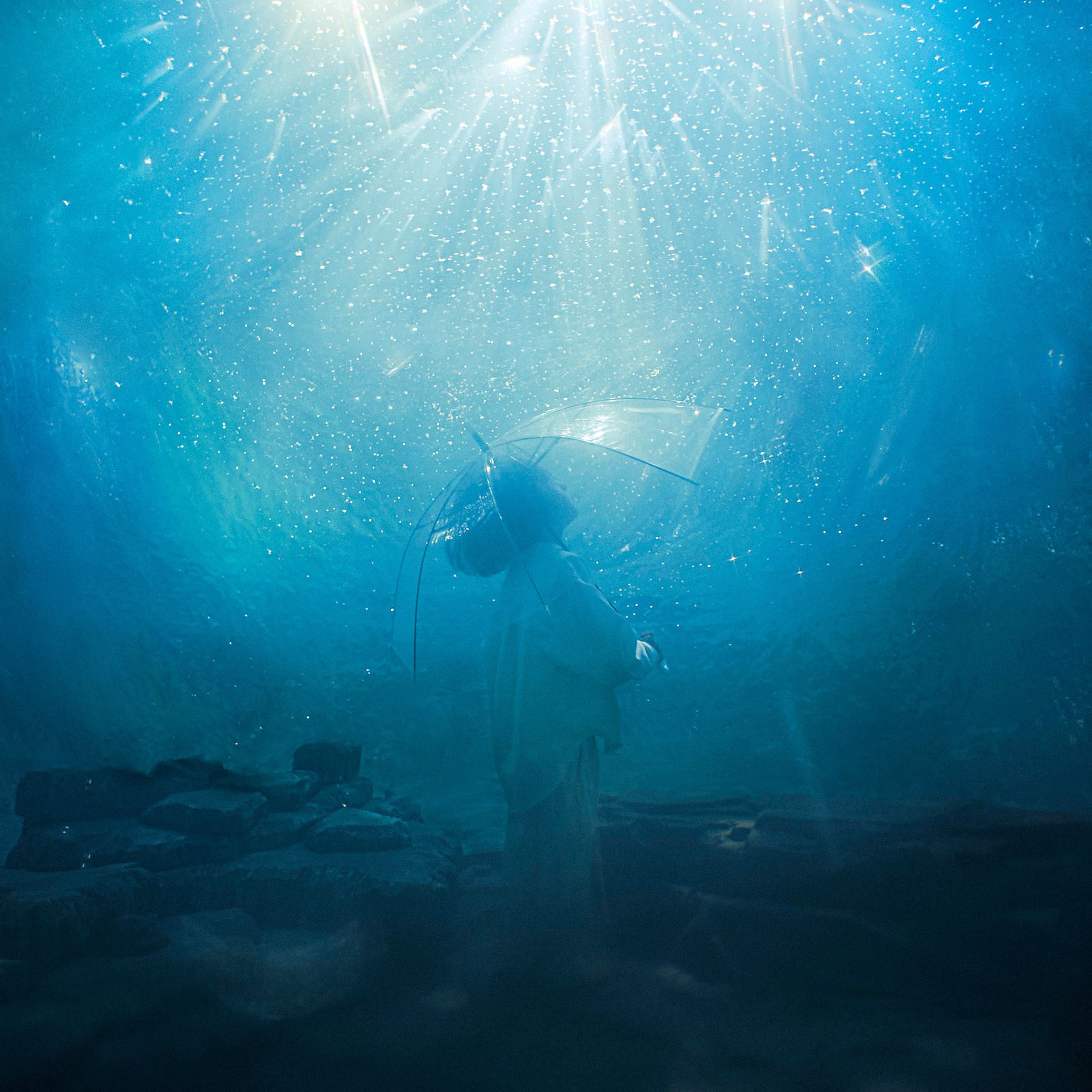 Aqua Timez album「海いっぱいに降りしきる星」, AD: 松田剛 (quia),2025