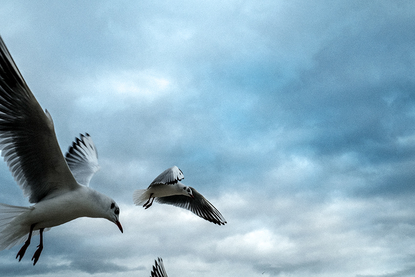 We all need lightness