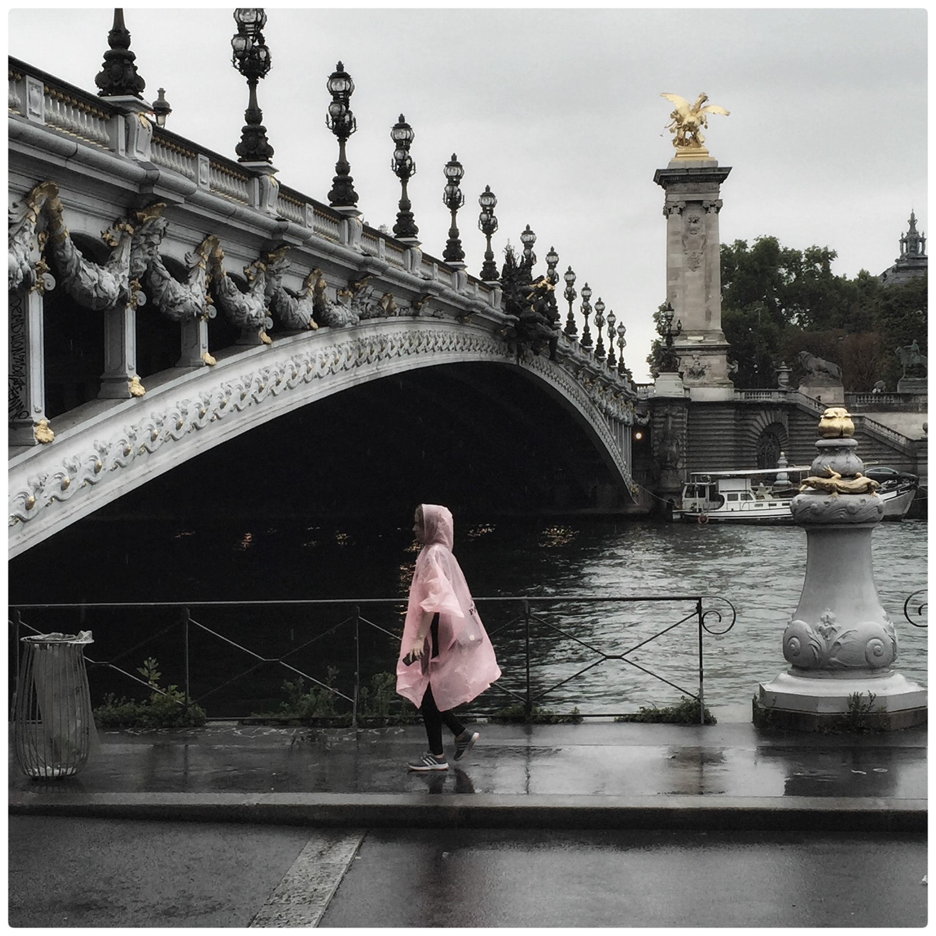 Le Petit Chaperon Rose