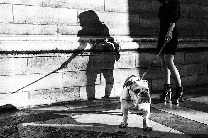 La Belle et la Bête