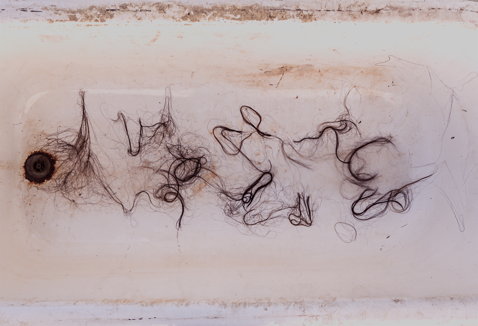 Title: The Loss of Beauty