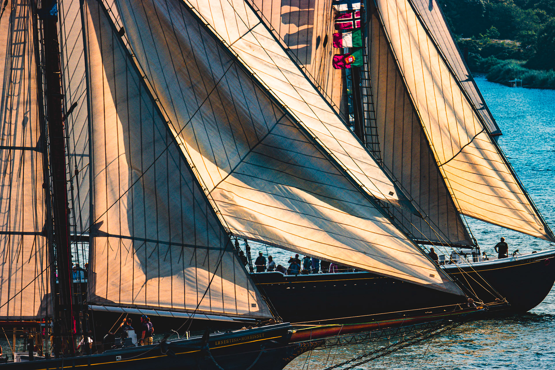 Schooner Race #2