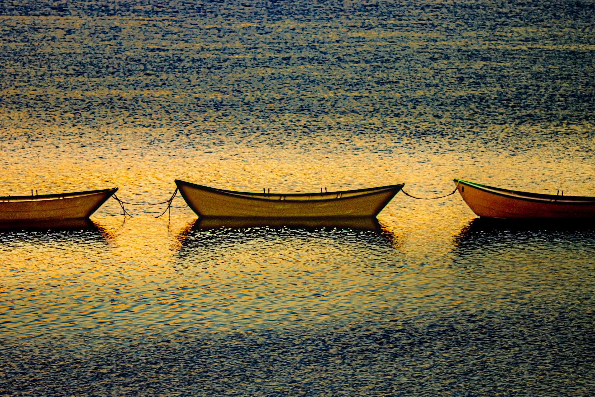 The Dories