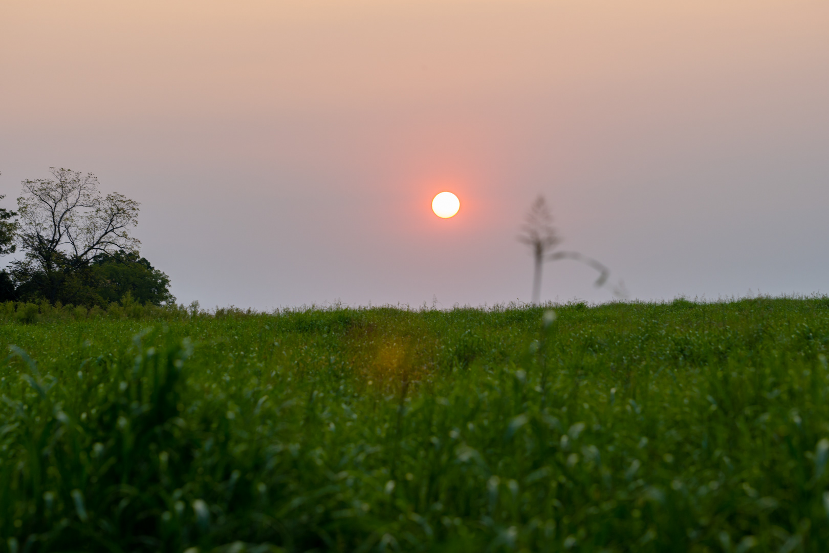 Sunset During Wildfire Smoke