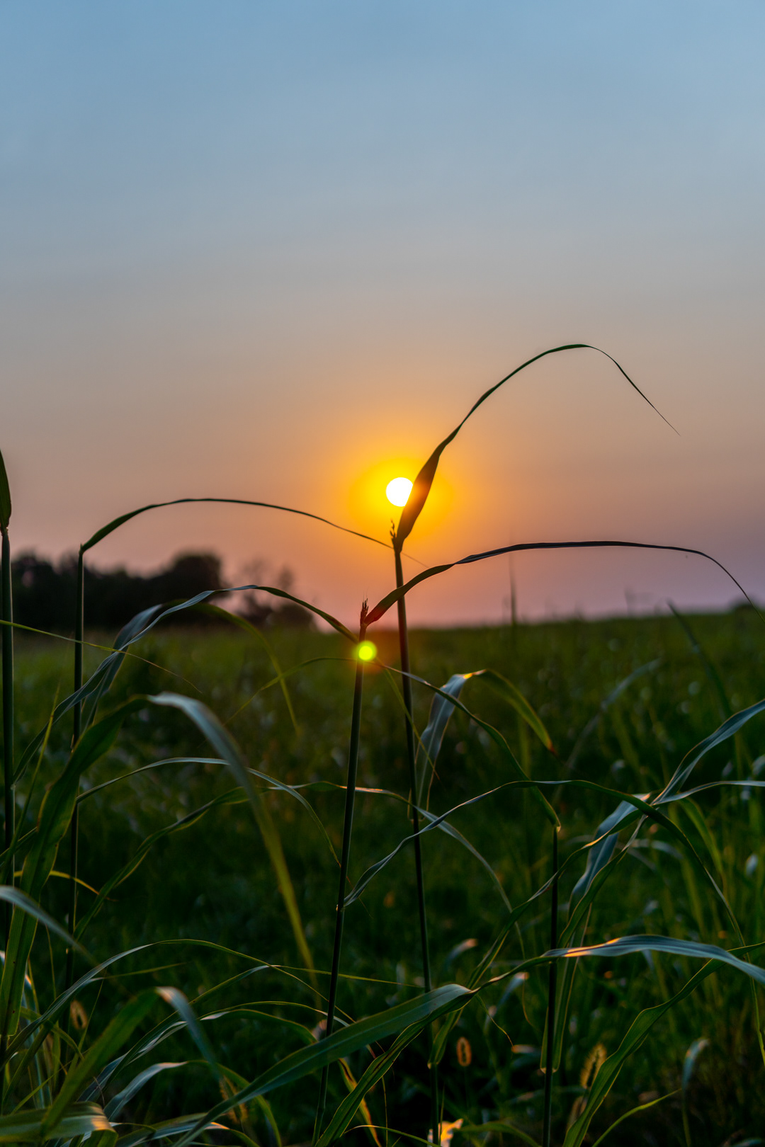 Sunset During Wildfire Smoke