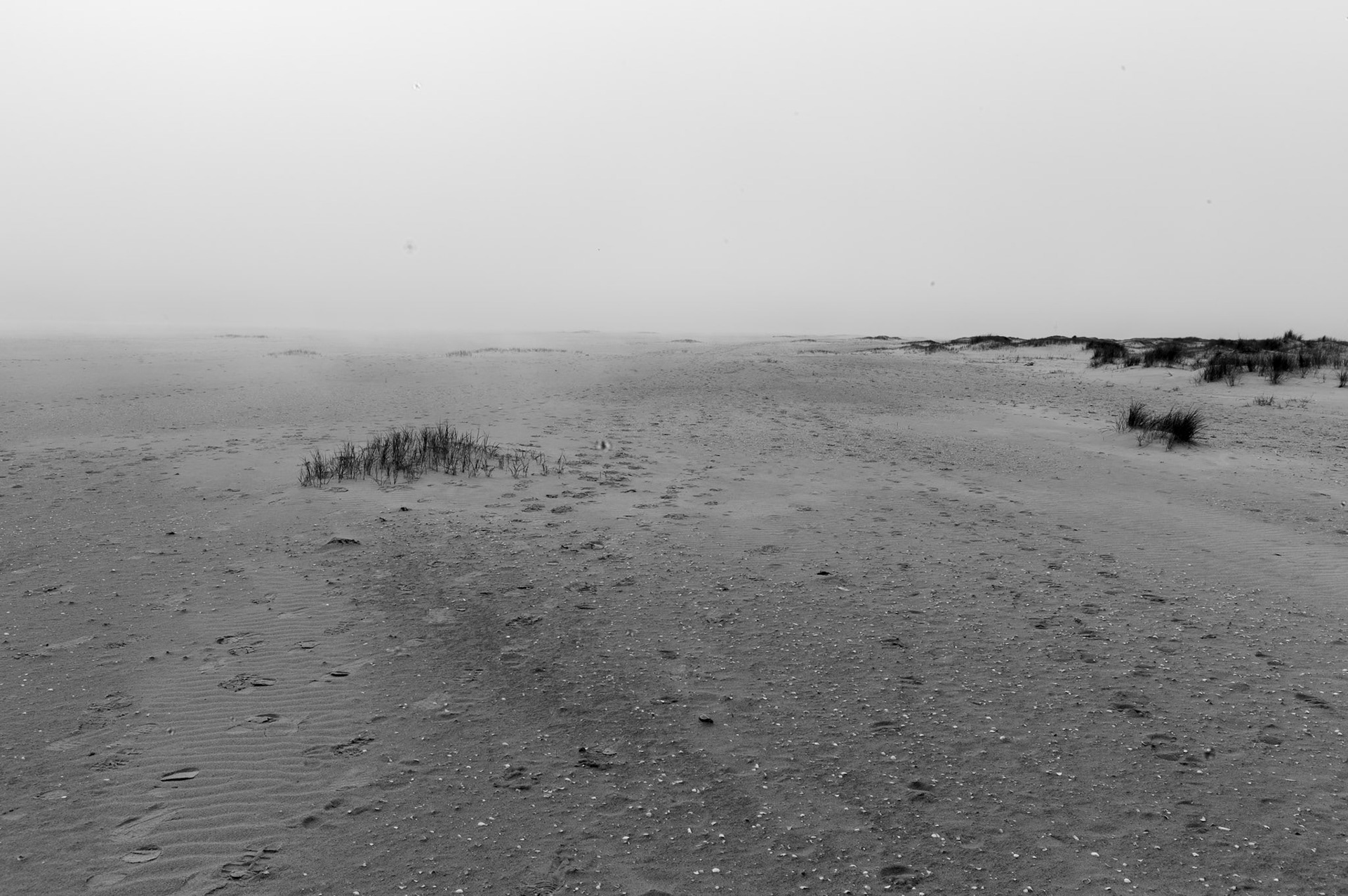 At the Dutch coast