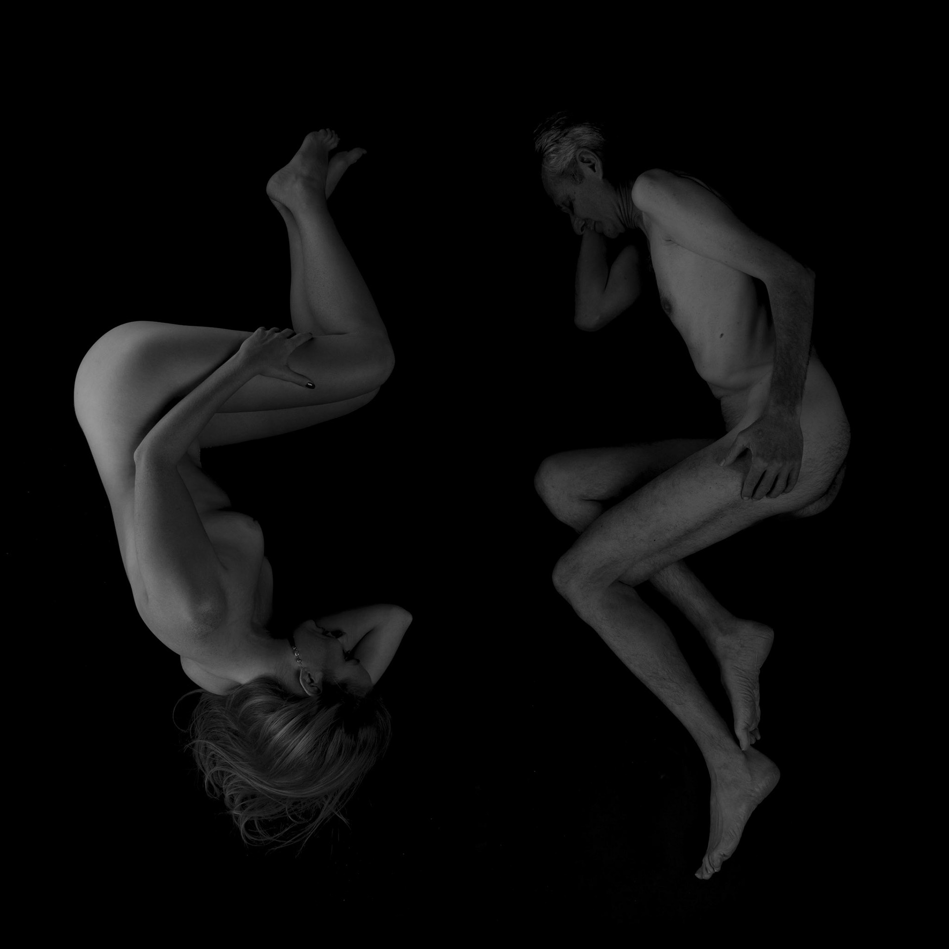 Jing and jang series