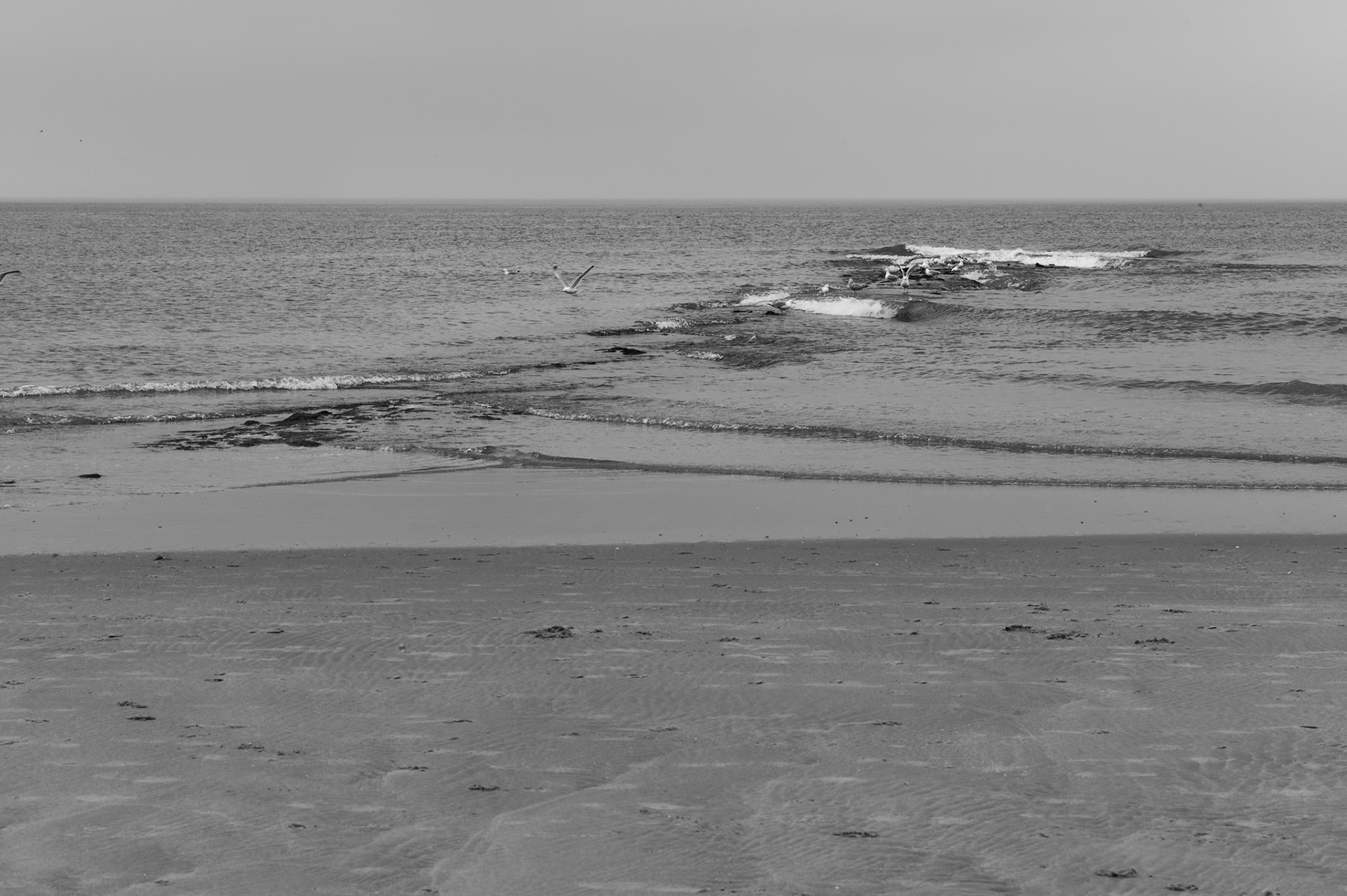 At the Dutch coast
