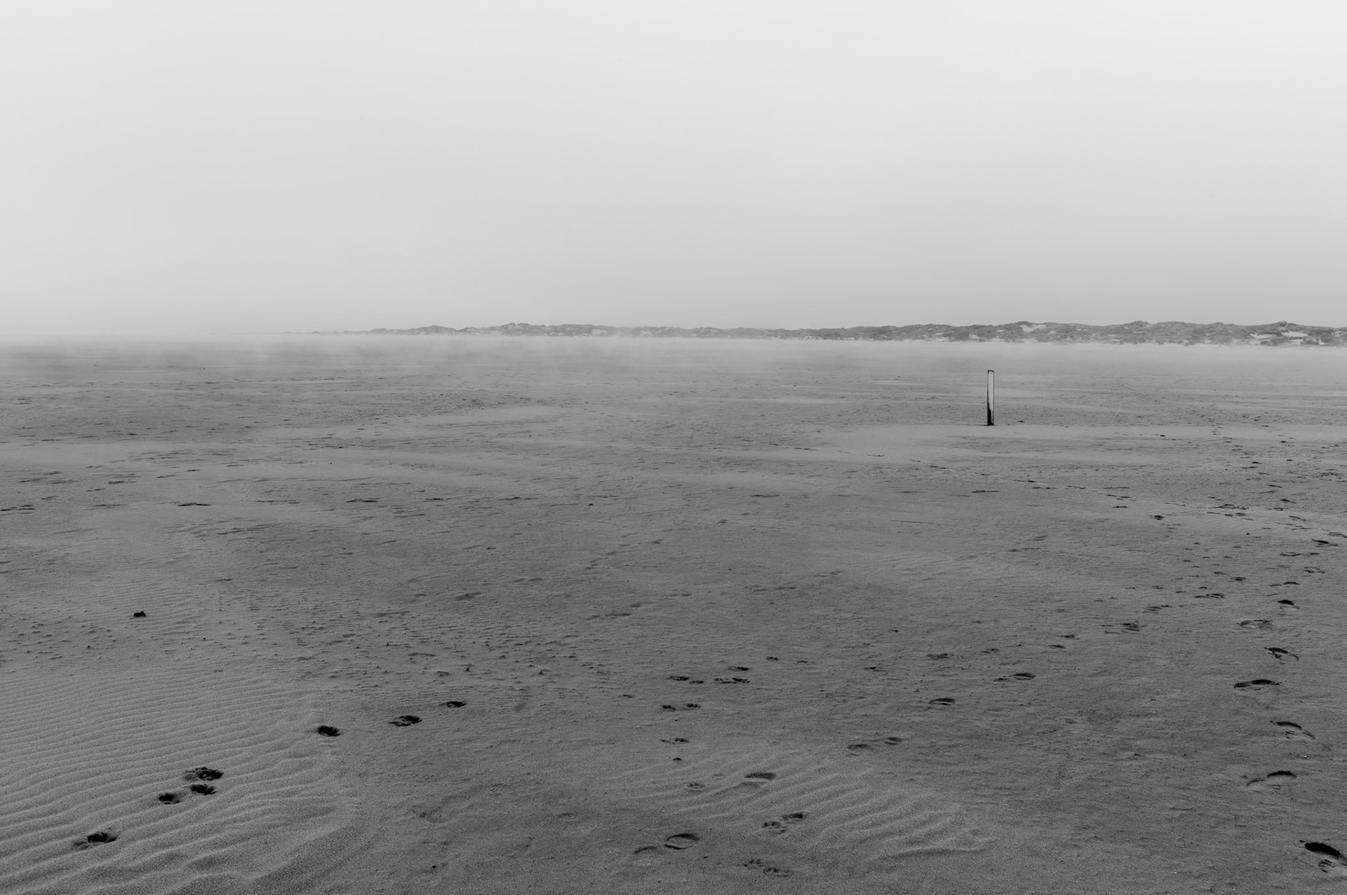 At the Dutch coast