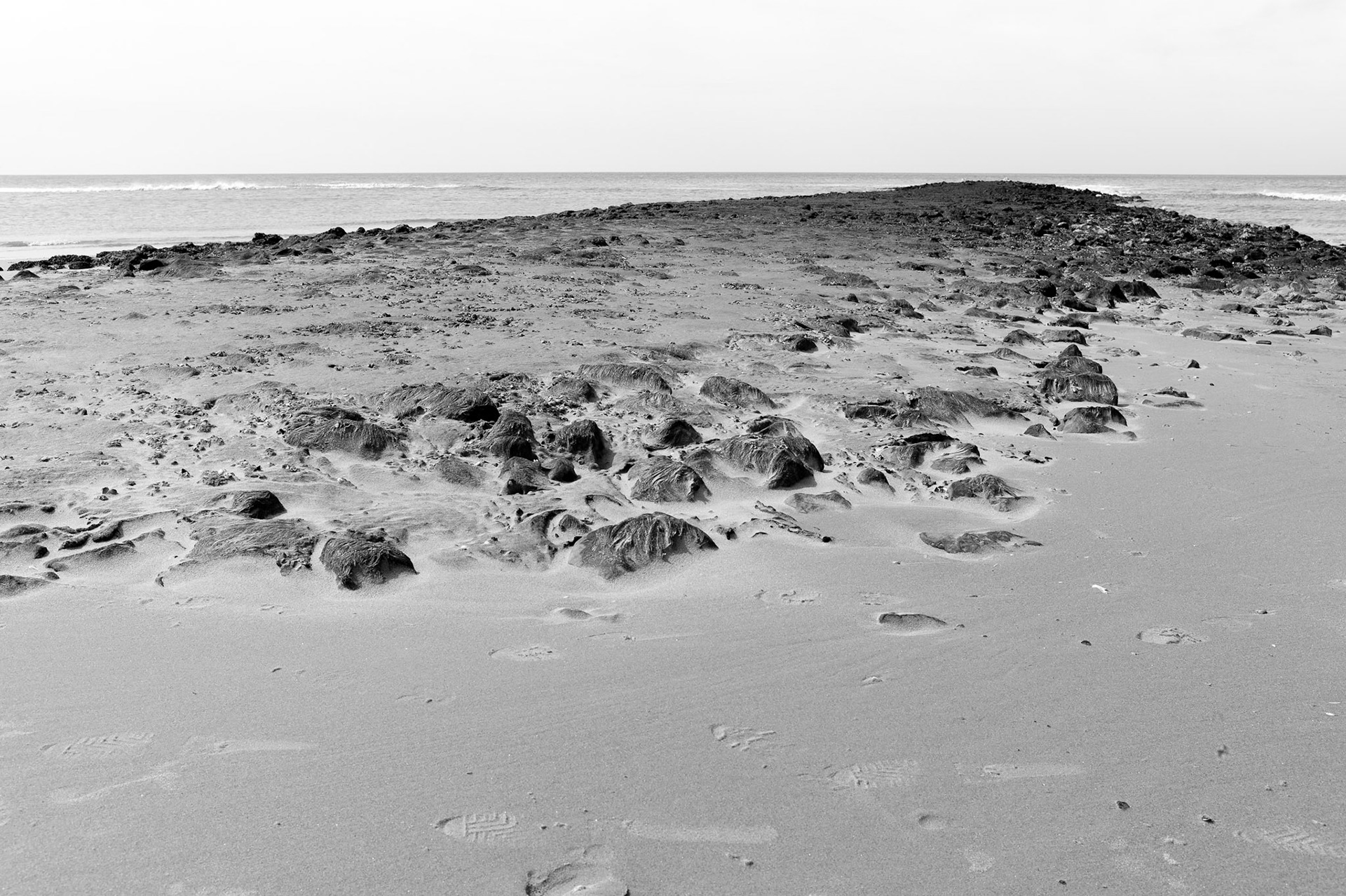 At the Dutch coast