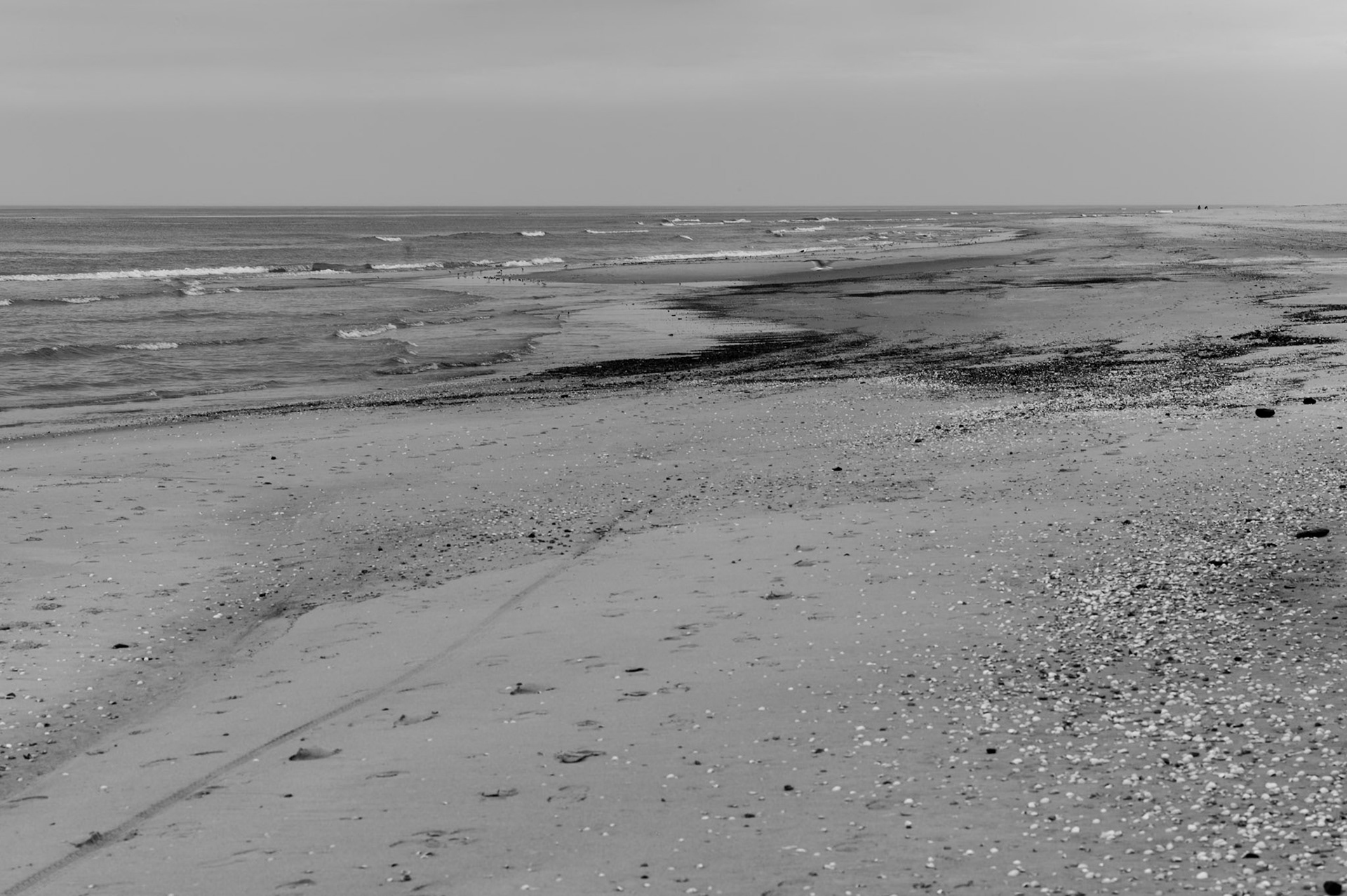 At the Dutch coast