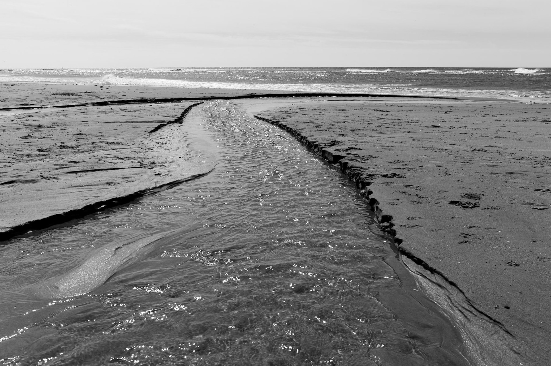 At the Dutch coast