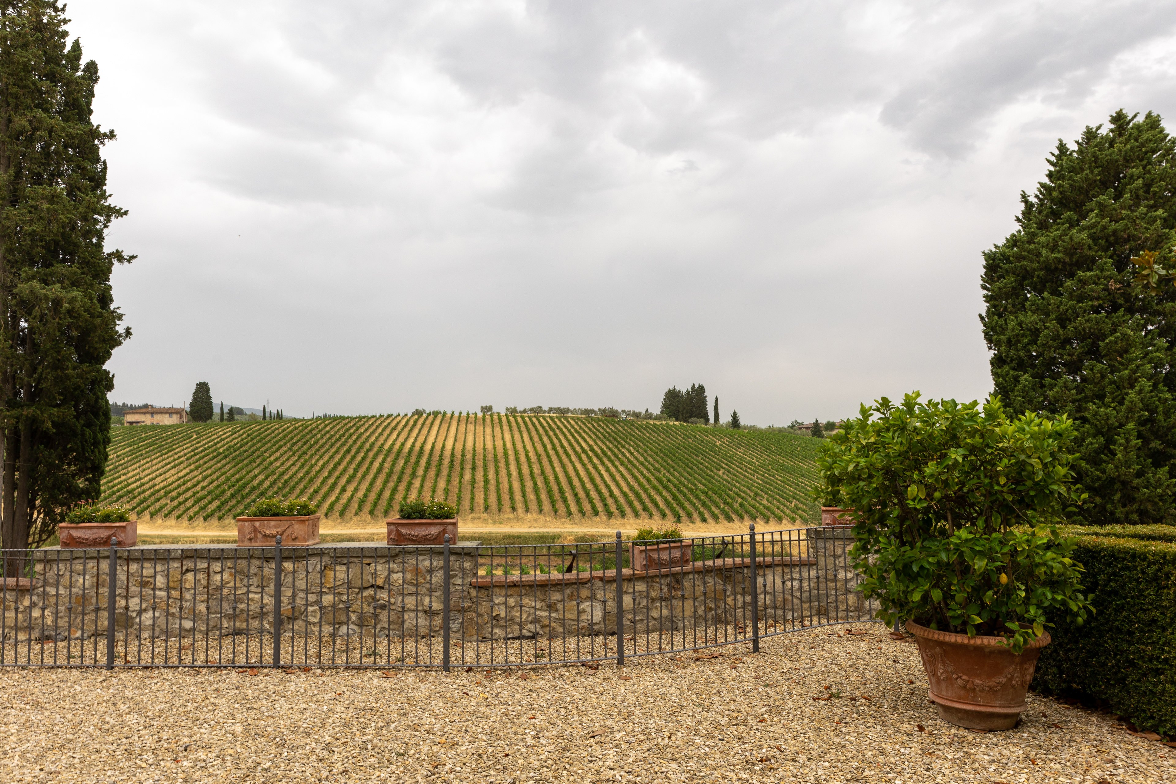 The Ruffino Wine Estate, Poggio Casciano, Tuscany,  Chianti, Italy