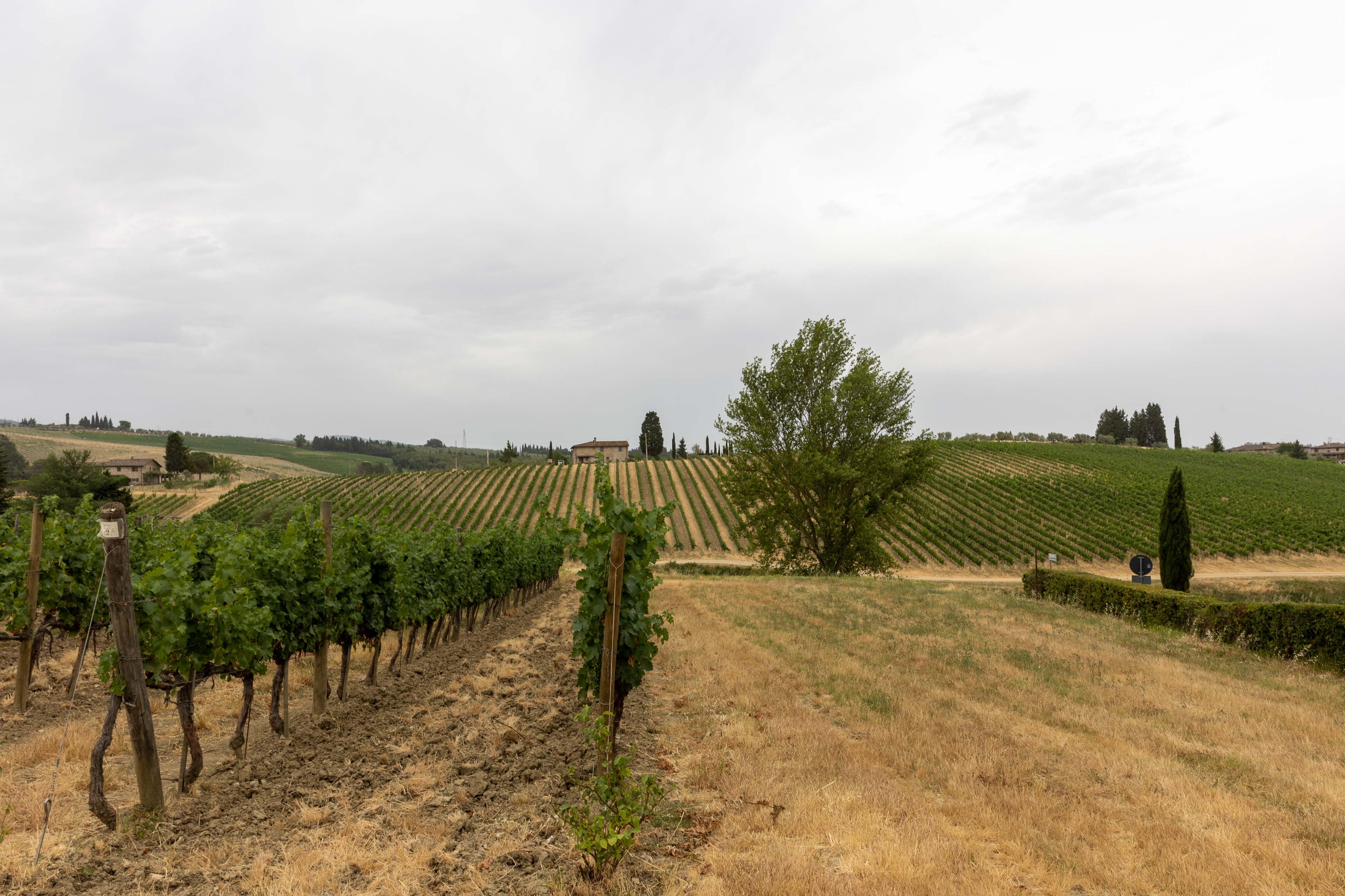The Ruffino Wine Estate, Poggio Casciano, Tuscany,  Chianti, Italy