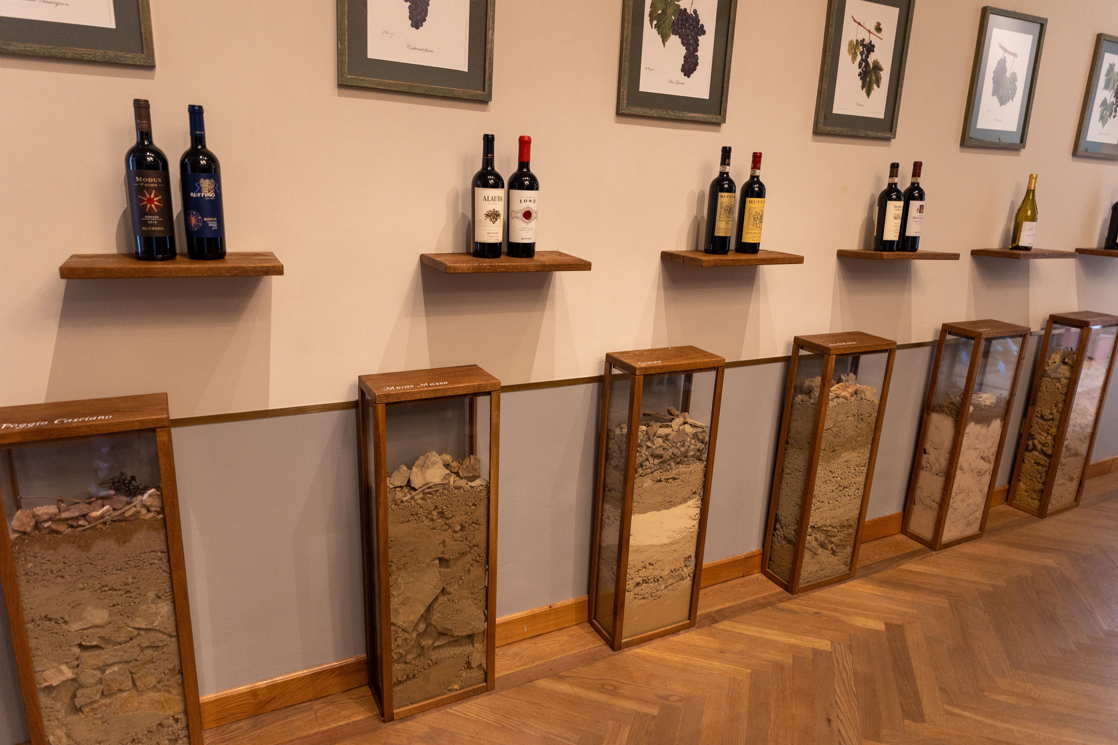 The Ruffino Wine Estate, Poggio Casciano, Tuscany,  Chianti, Italy