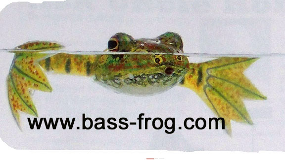 Ken Daubert - The Designer Bass FROG Story