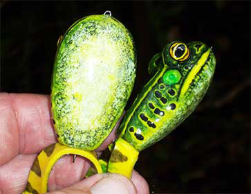 Ken Daubert - Capt. Ken's FROG Lure Store