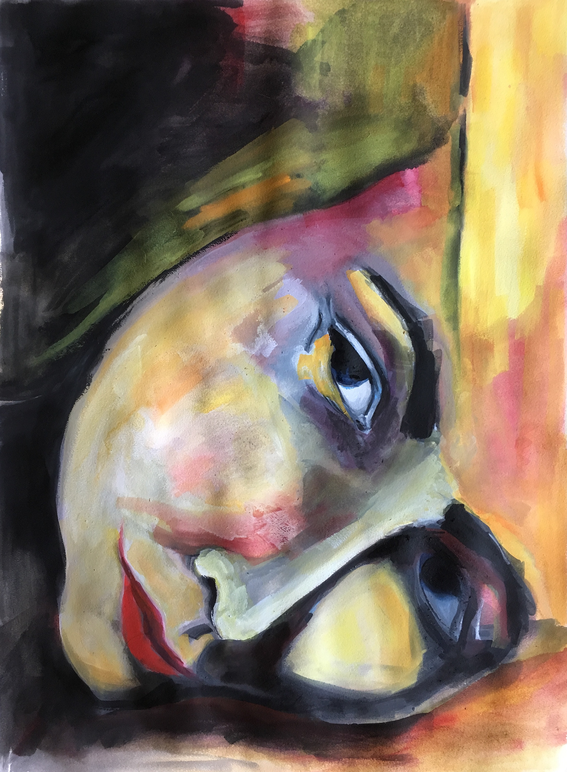 24" x 19"