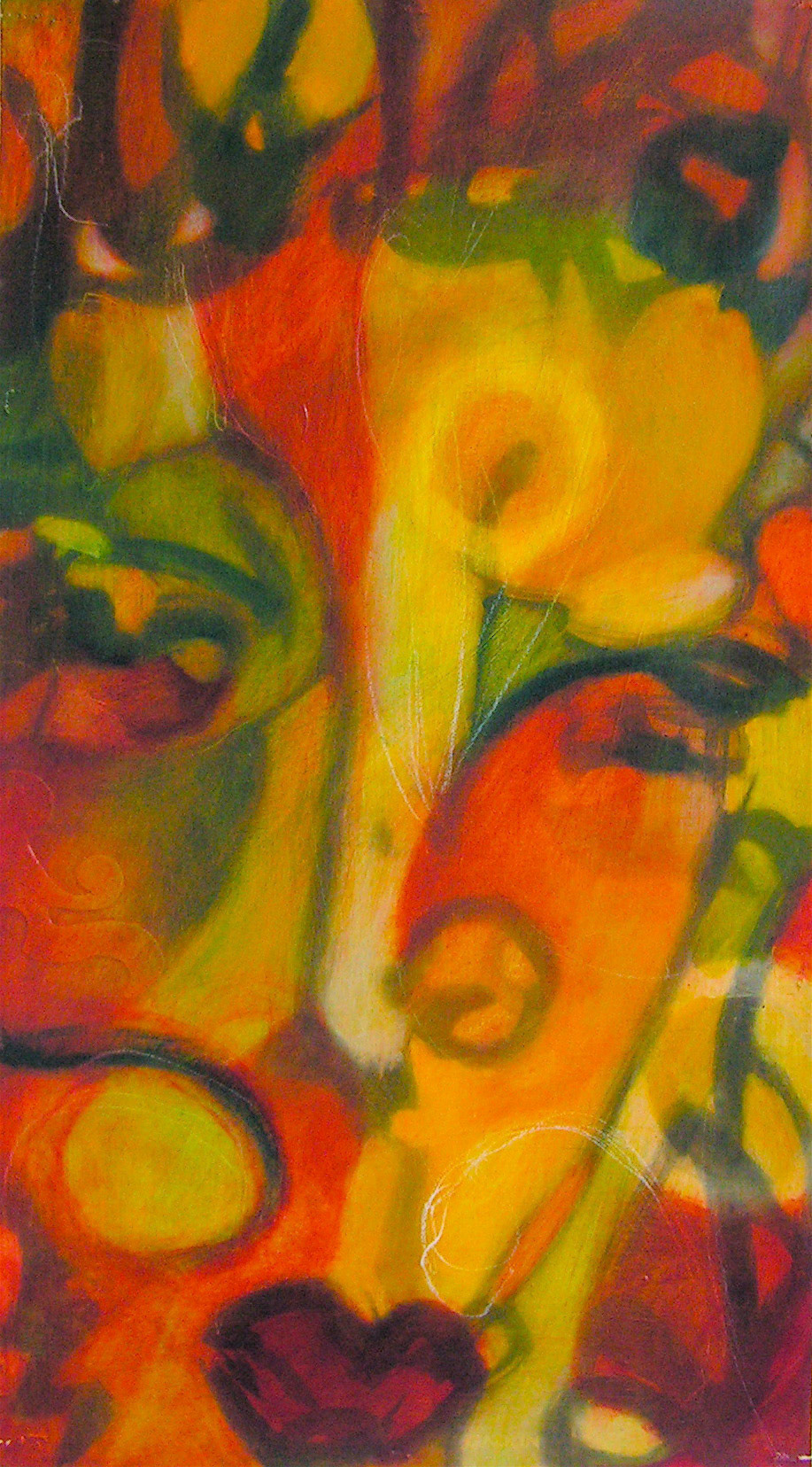 KONICA MINOLTA DIGITAL CAMERA