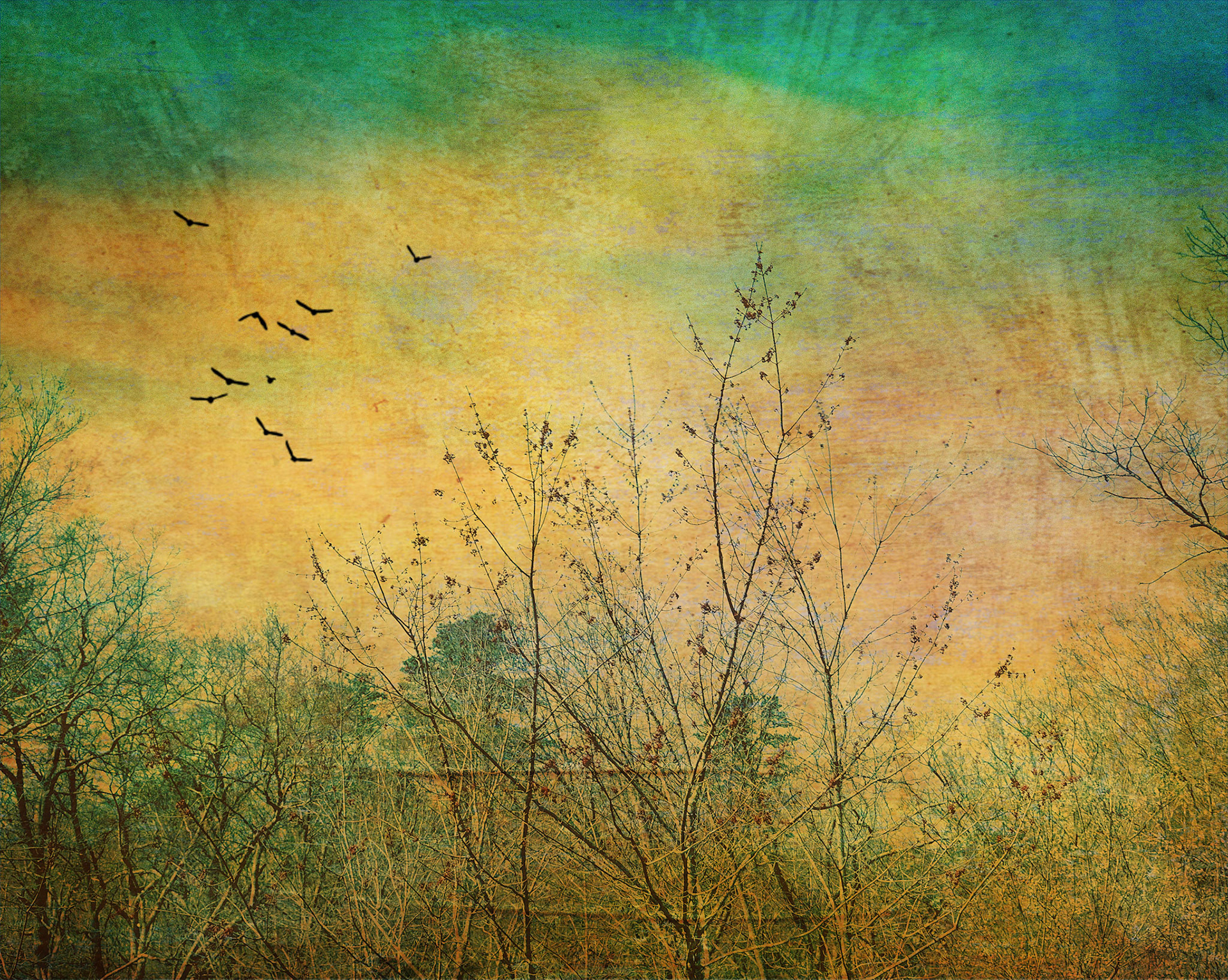 Morning Fields