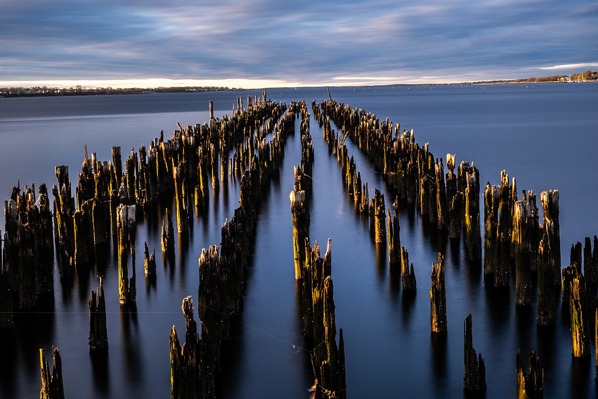 Save the Bay