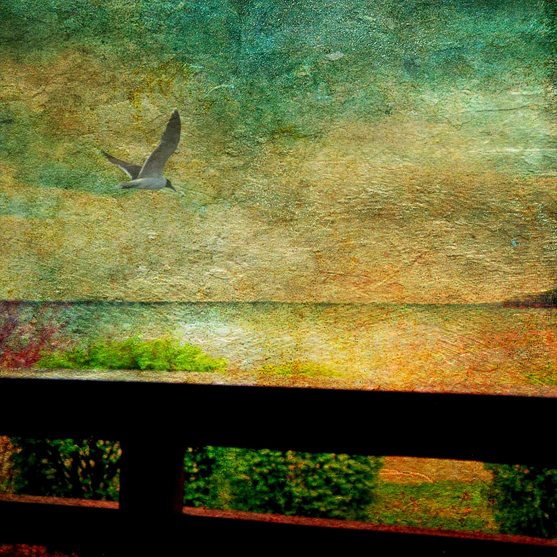 Porch View