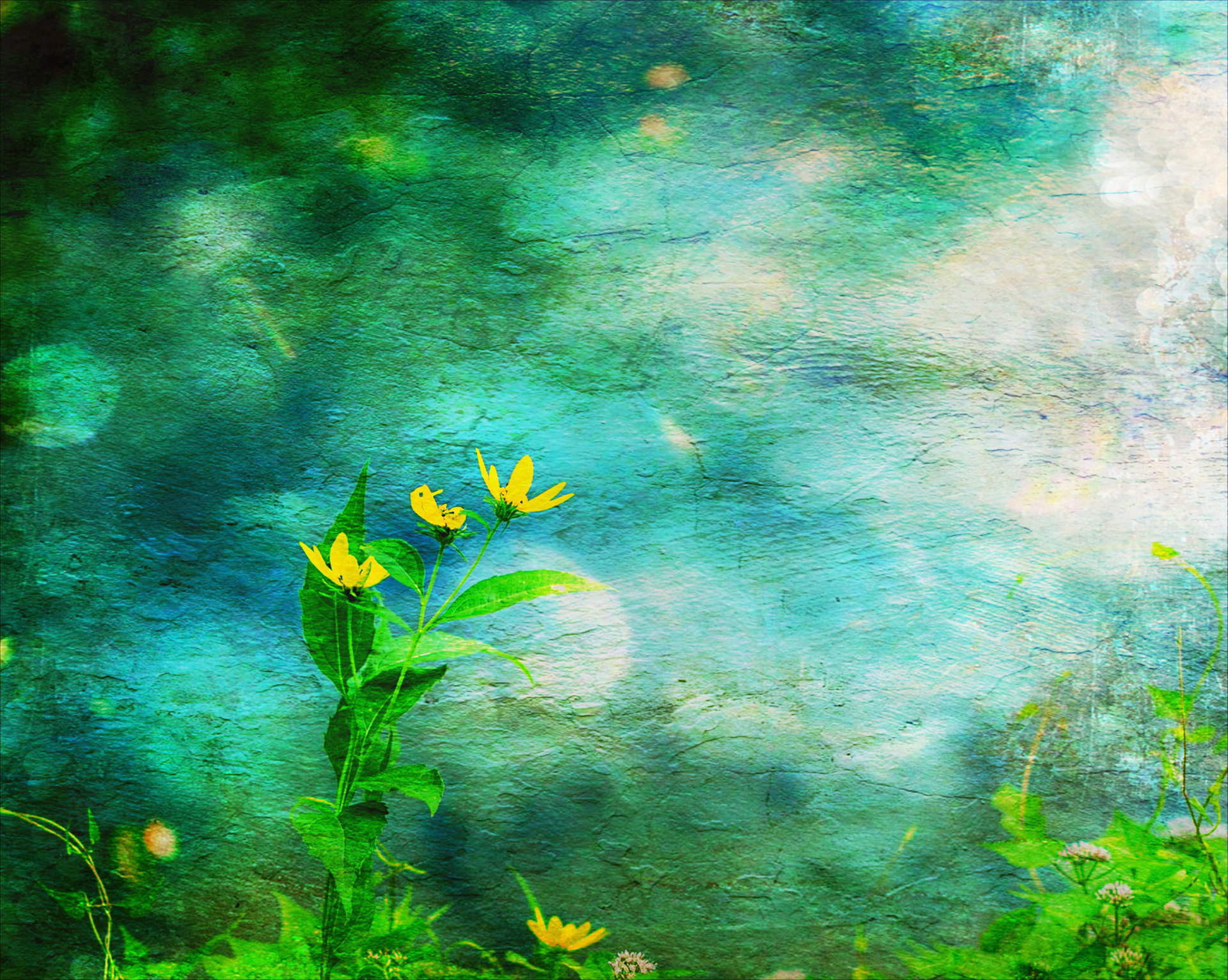 By the Water