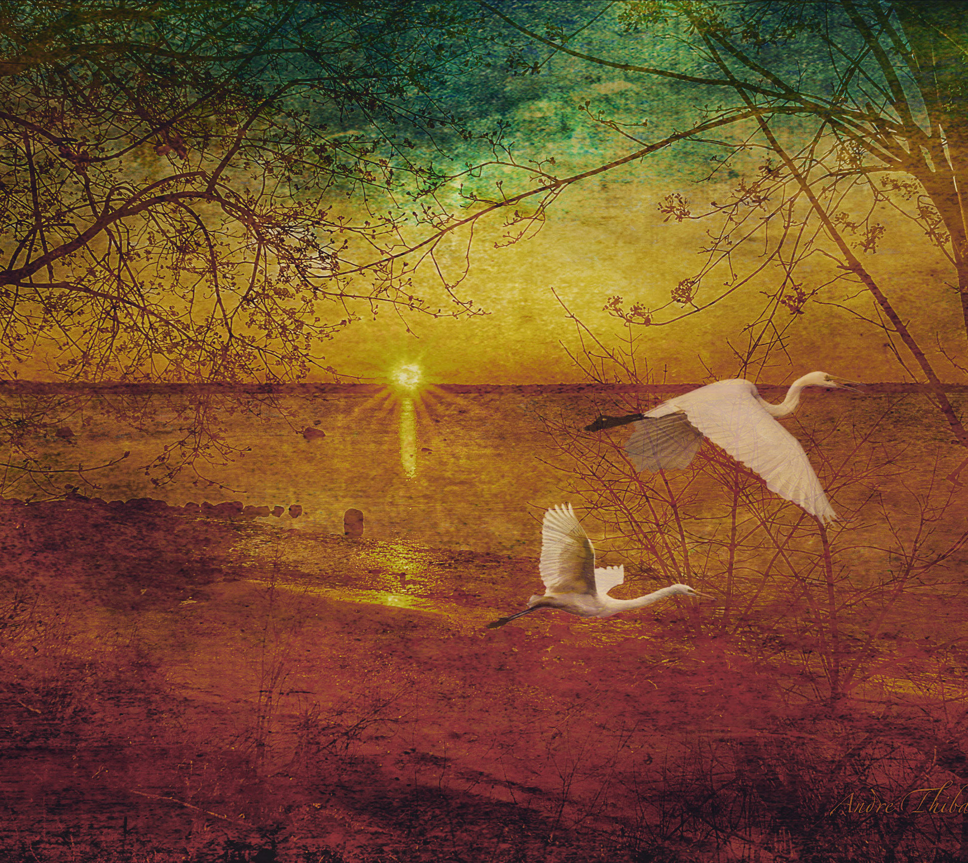 Sunrise