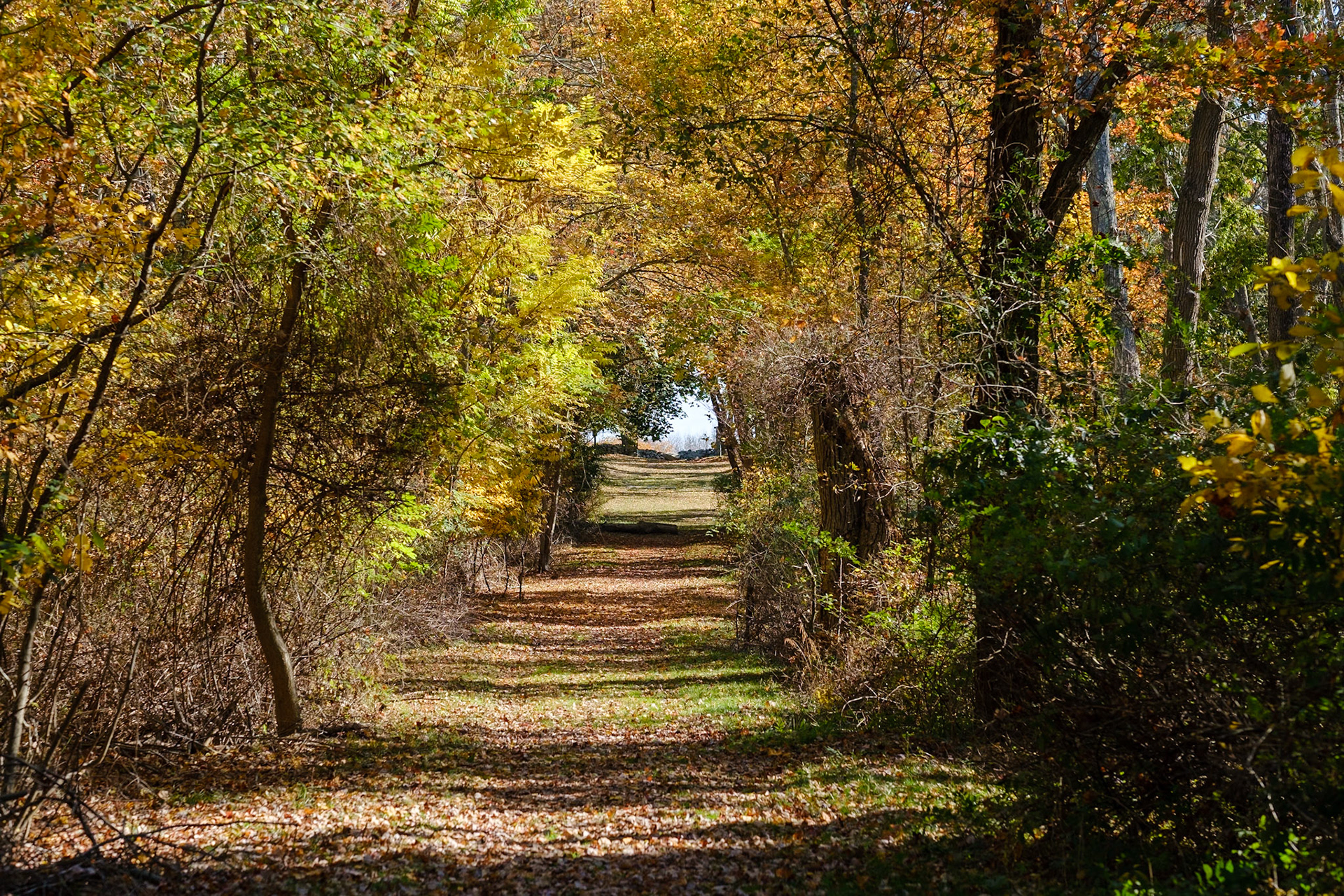 Goddard Park