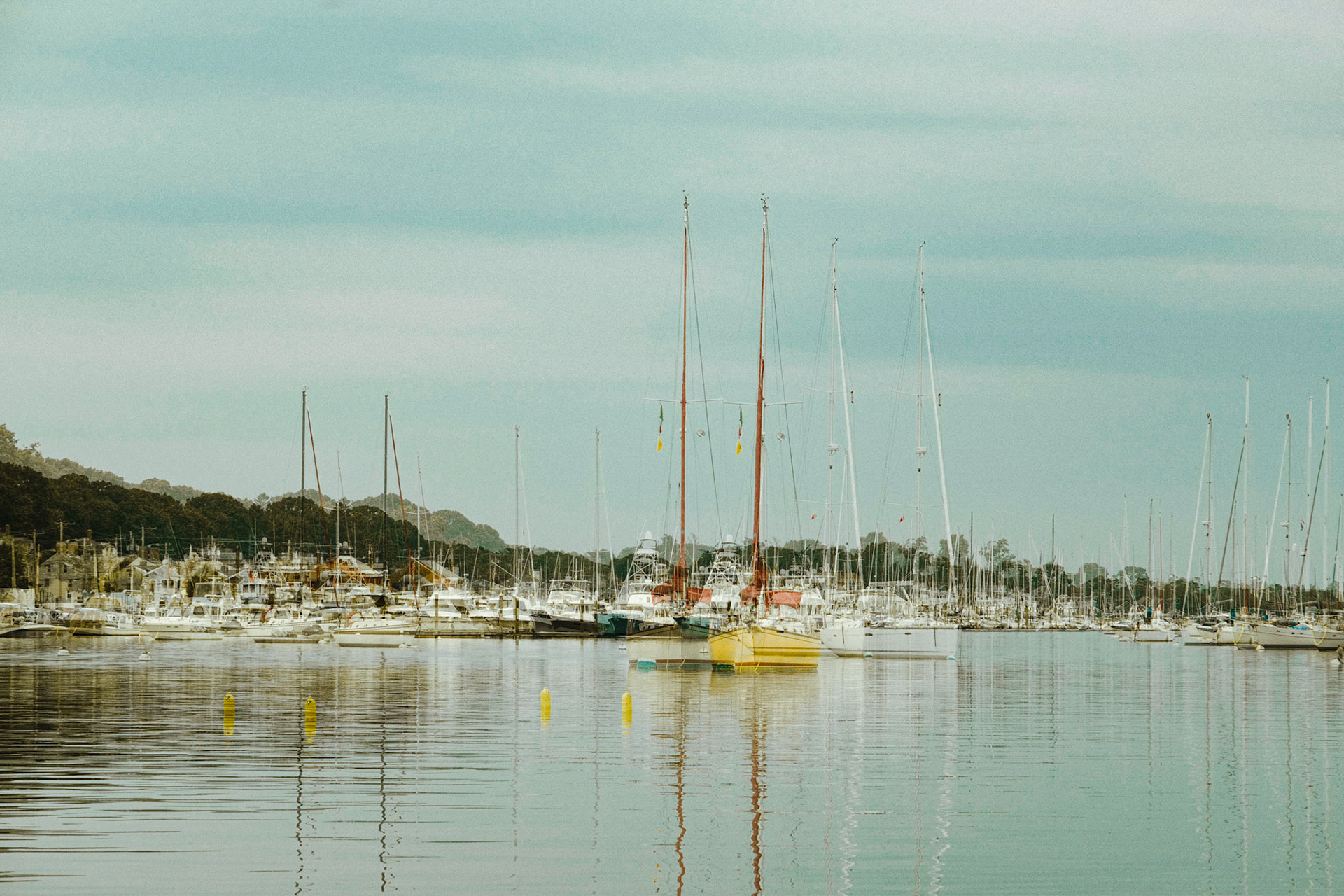 "Greenwich Cove 1"