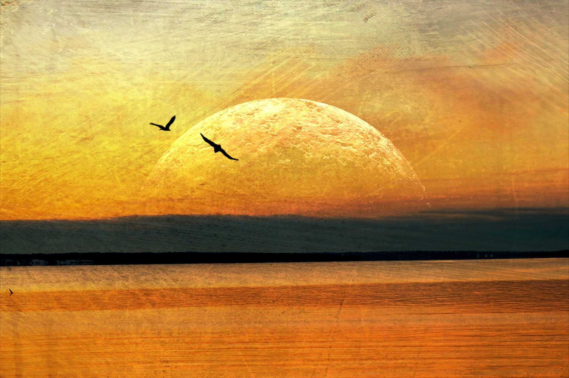 "lever du soleil"