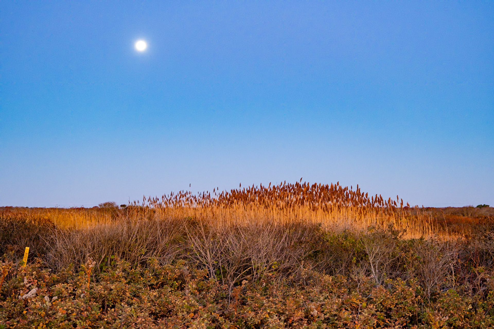 Moonstone Beach