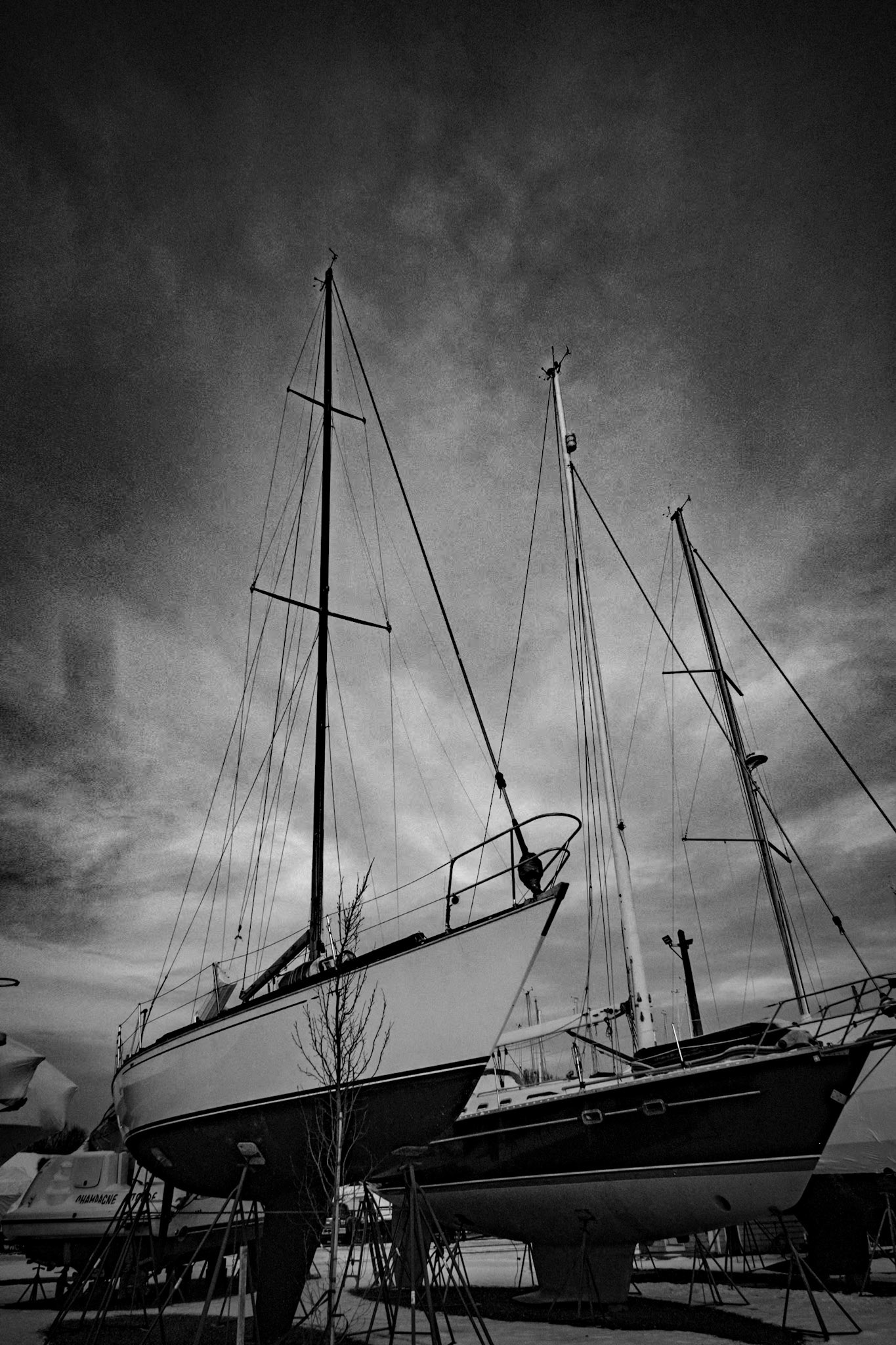 Safe Harbor