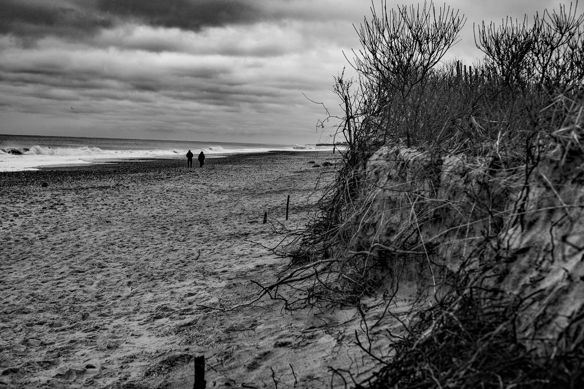 A walk at Moonstone