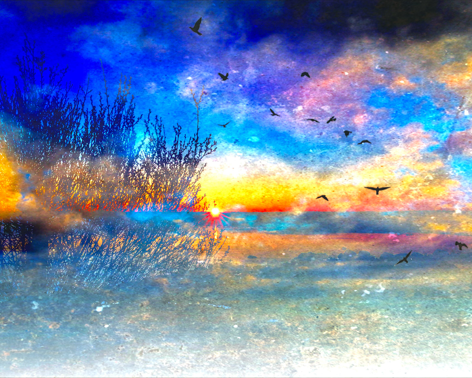 Dreams