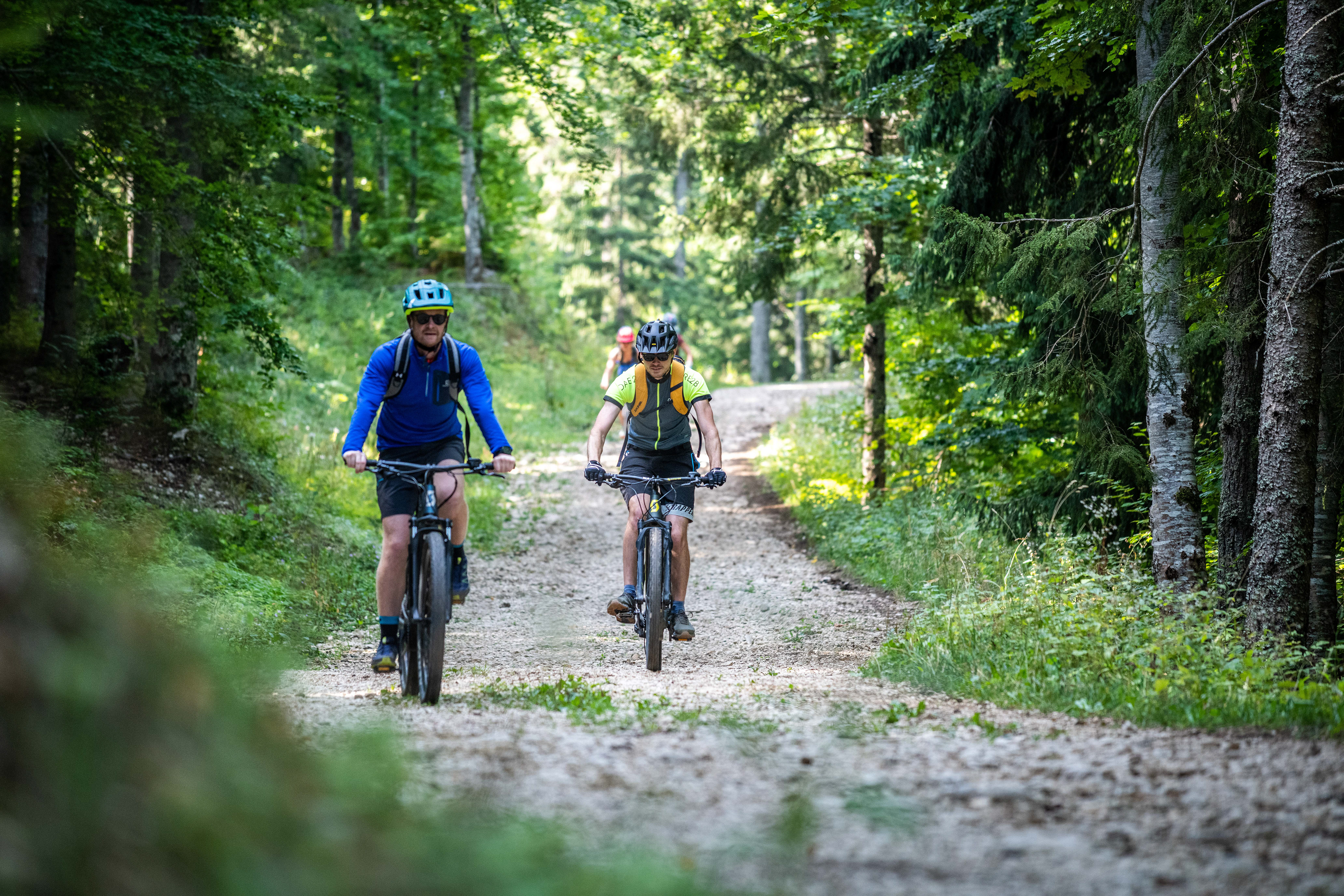 Office de tourisme de Villard de Lans et Corrençon en Vercors