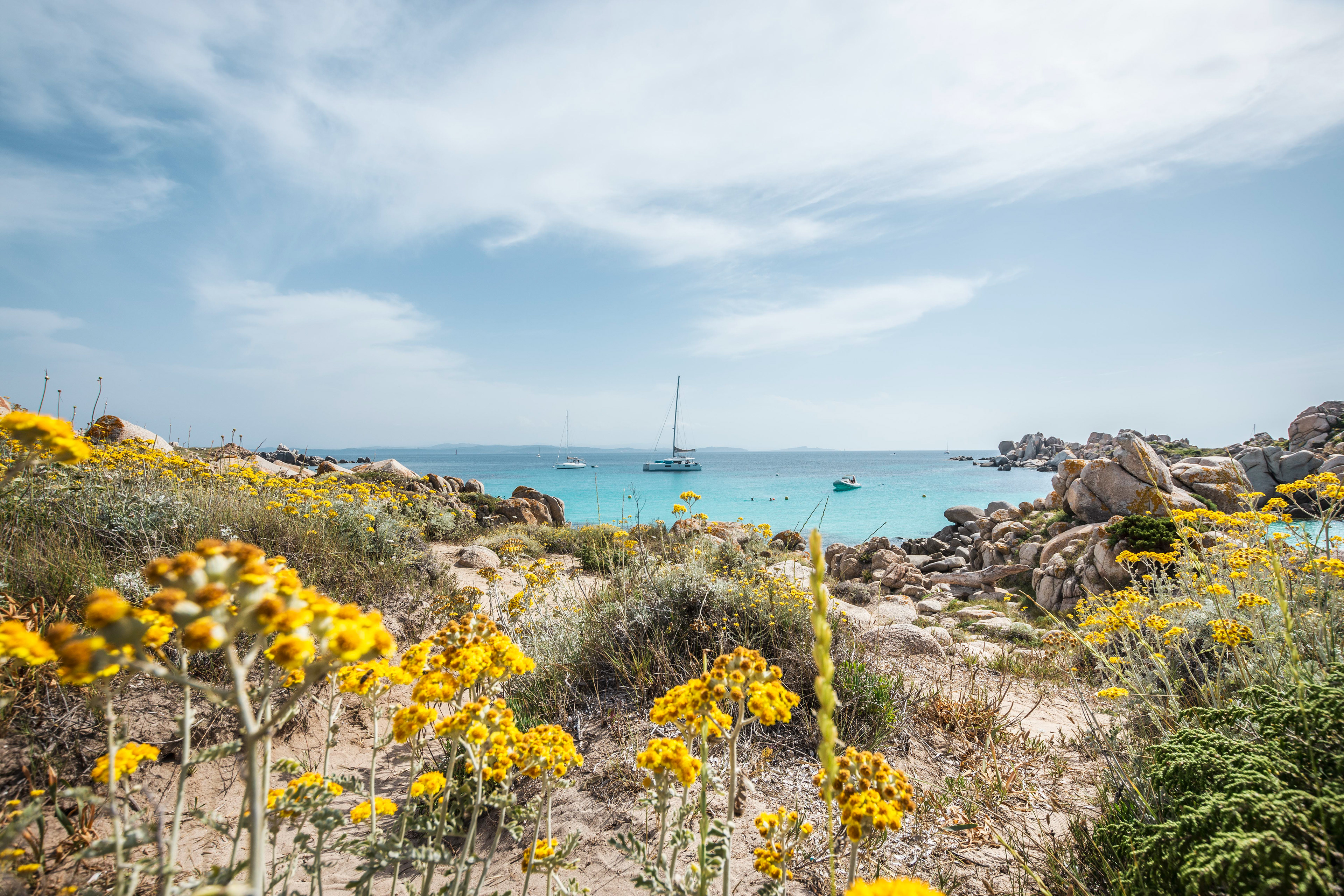 Îles Lavezzi, Corse