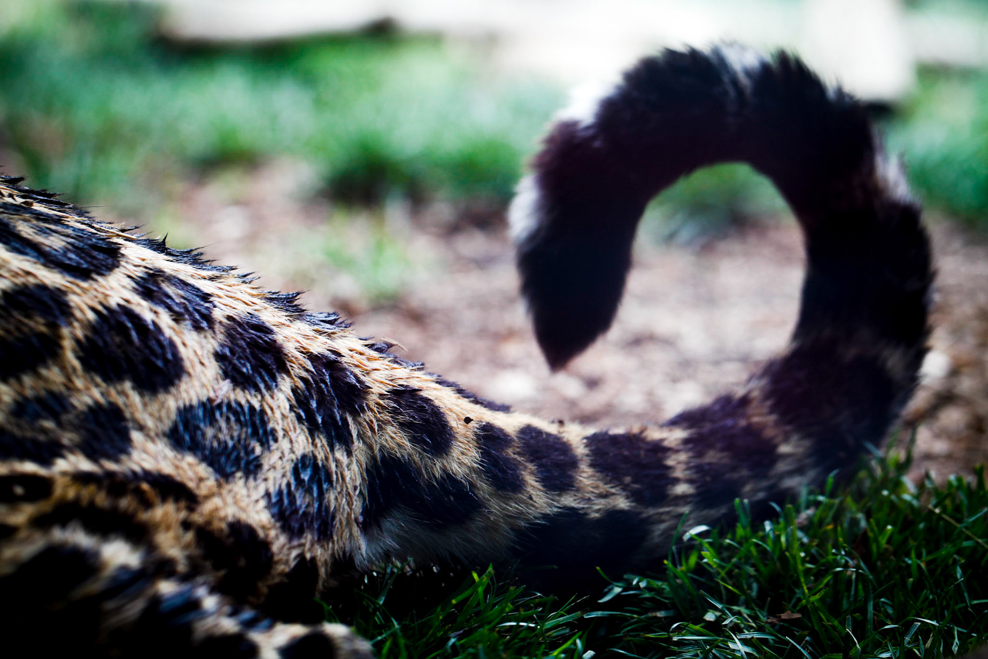 San Diego Zoo