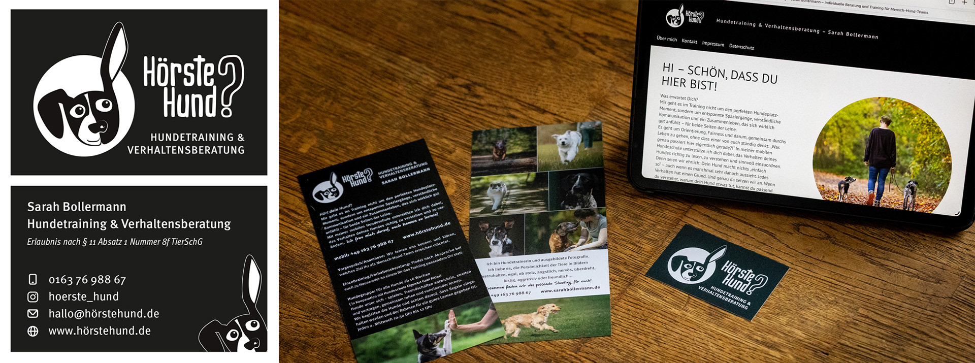 Logo, Visitenkarten, Flyer und Webseite für HörsteHund? - Hundetraining und Verhaltensberatung