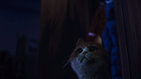 Scared Cats Compilation 2014 part 1 on Make a GIF