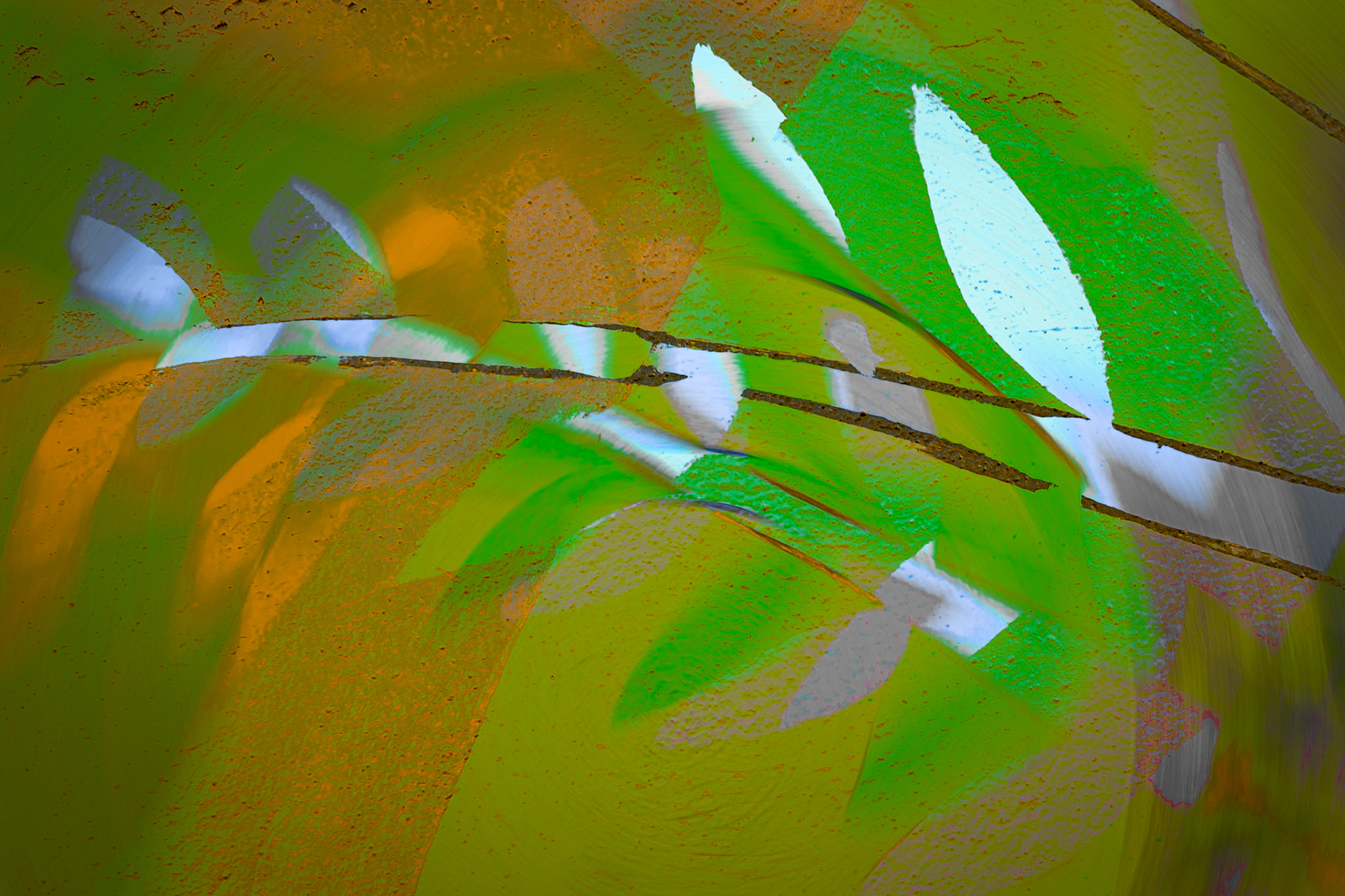 Branch