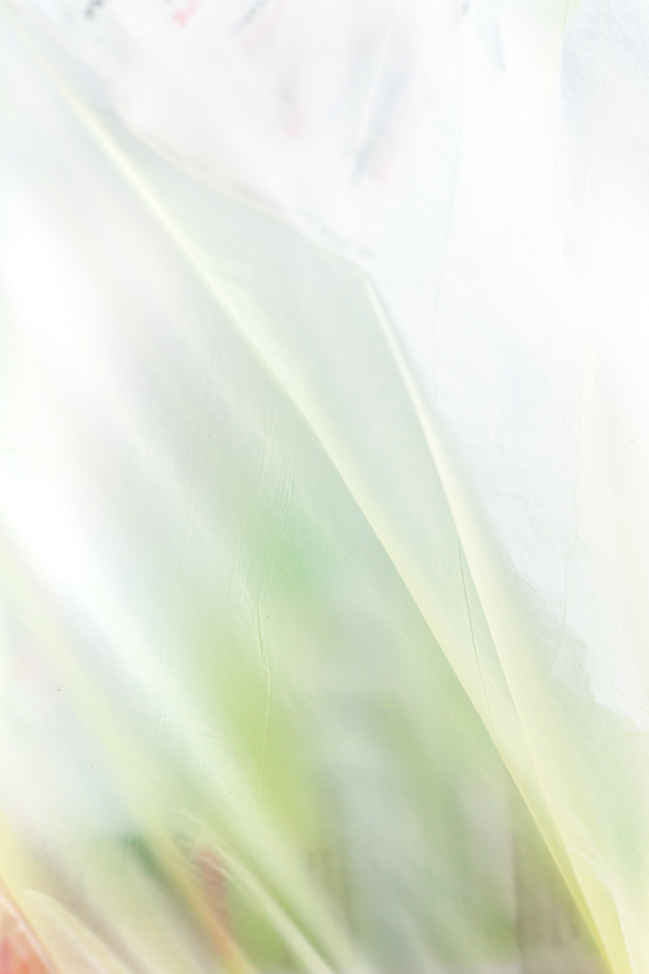 Flora