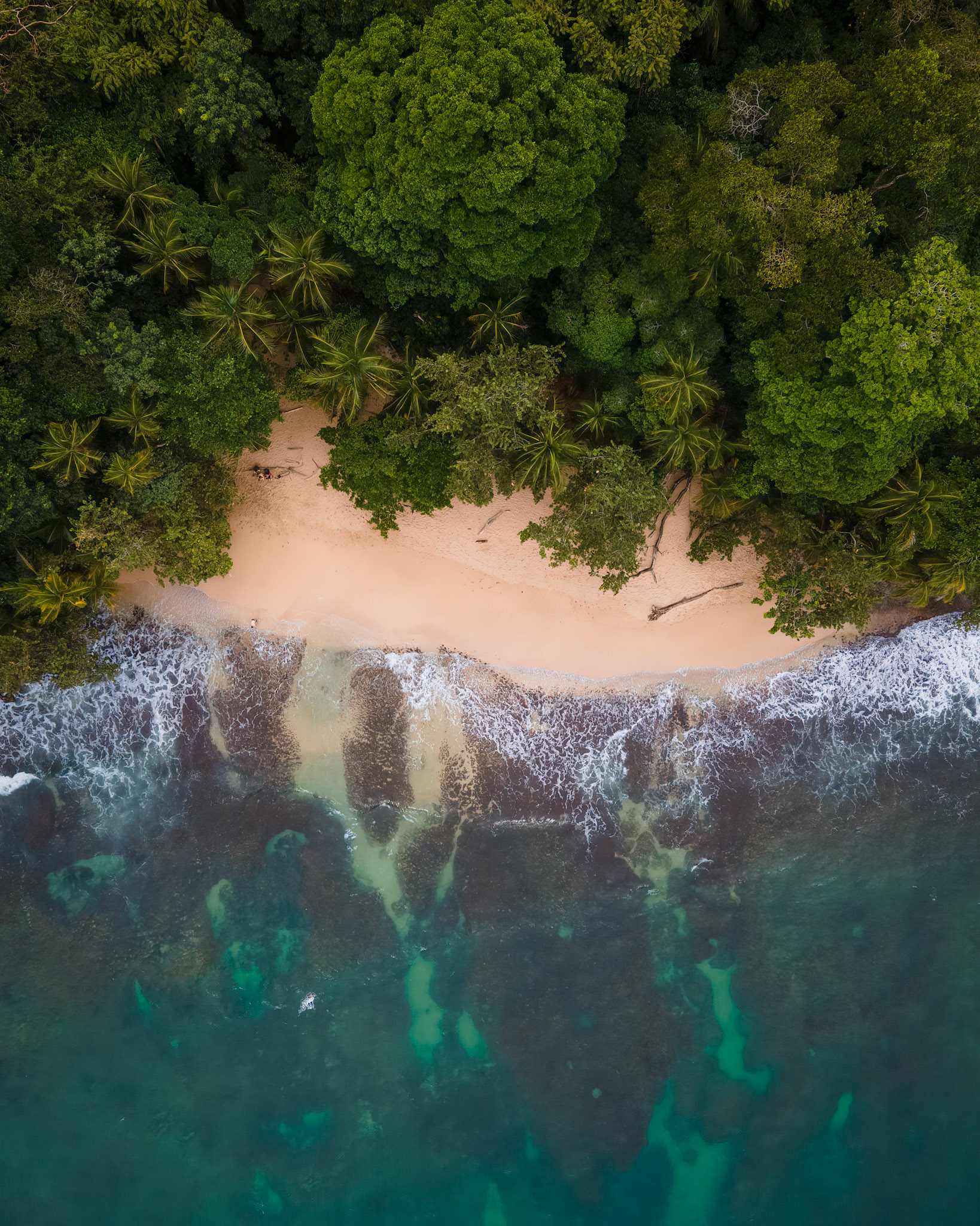 Manzanillo | © Kenneth Vargas