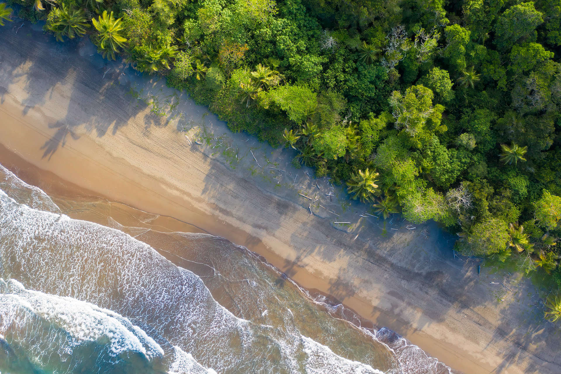 Tortuguero | © Kenneth Vargas