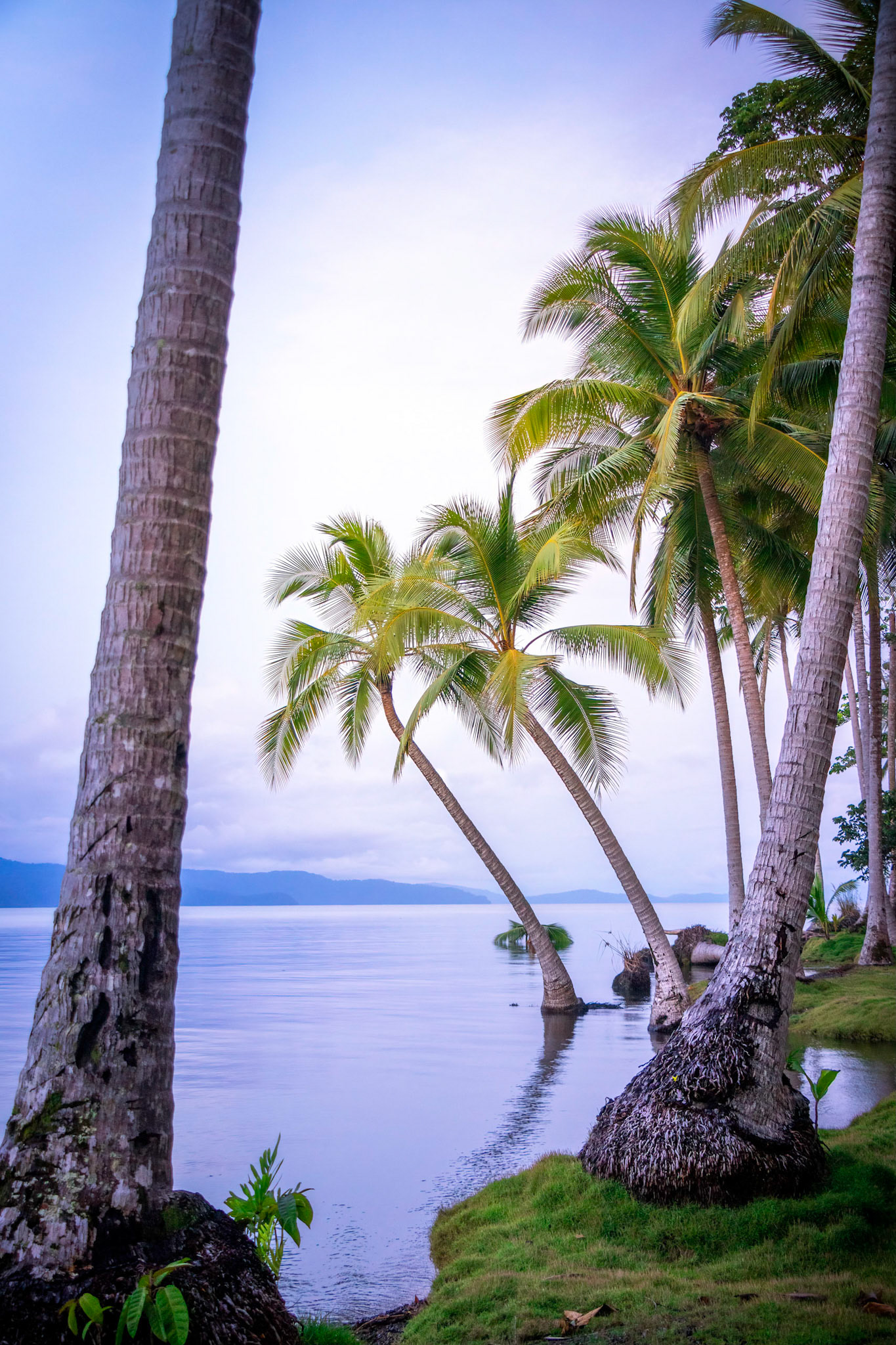 Osa Peninsula | © Kenneth Vargas