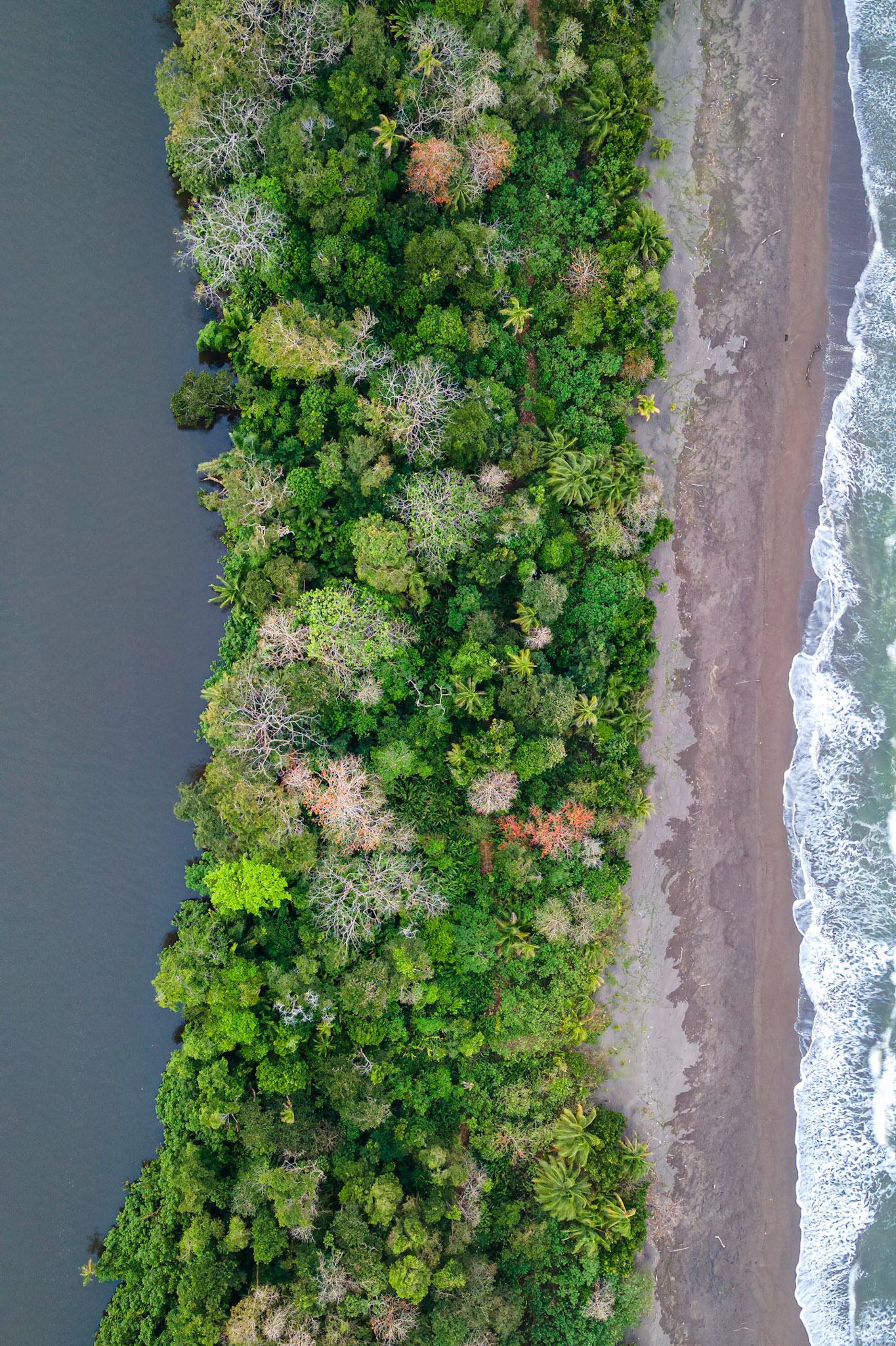 Tortuguero | © Kenneth Vargas