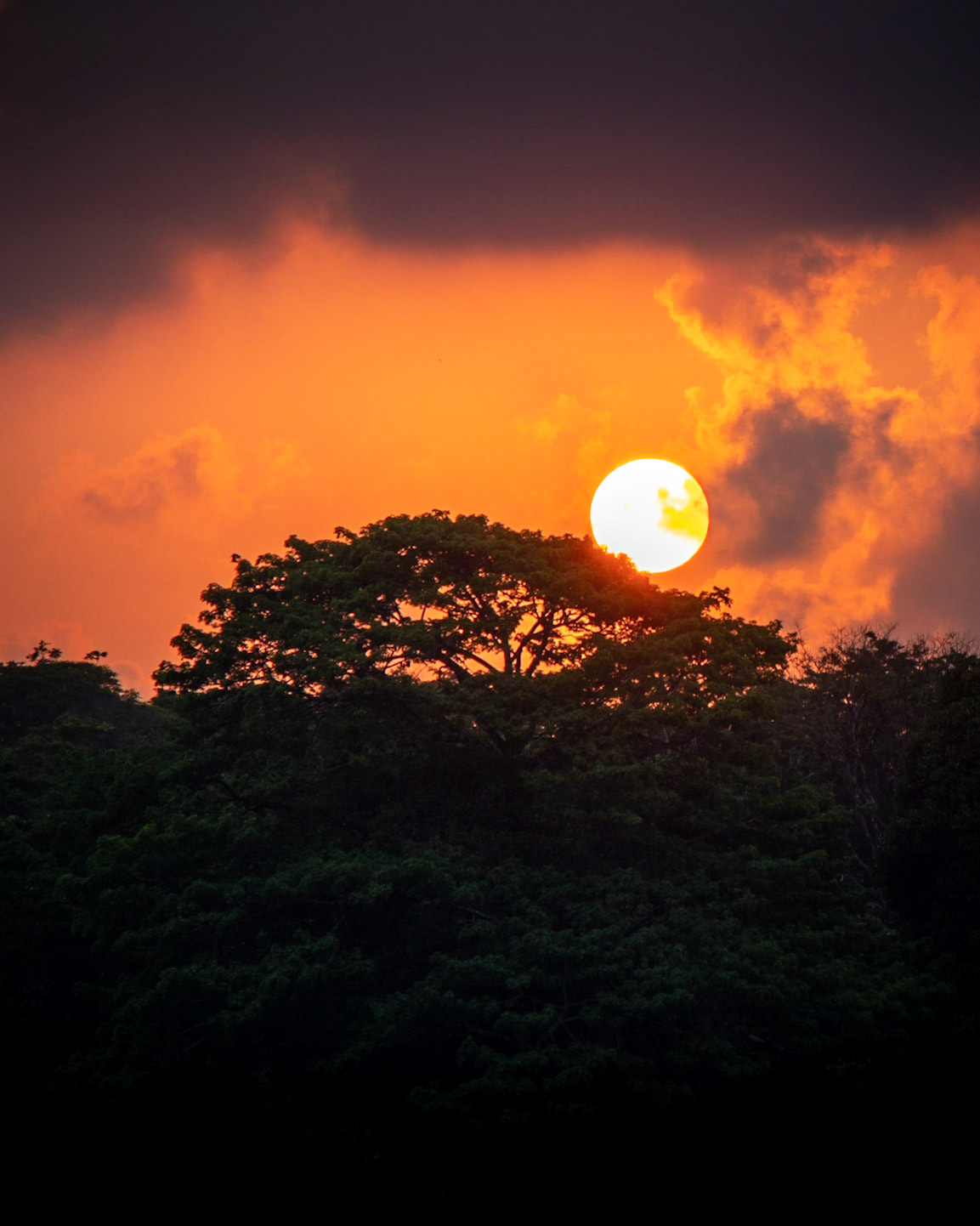 Tortuguero | © Kenneth Vargas