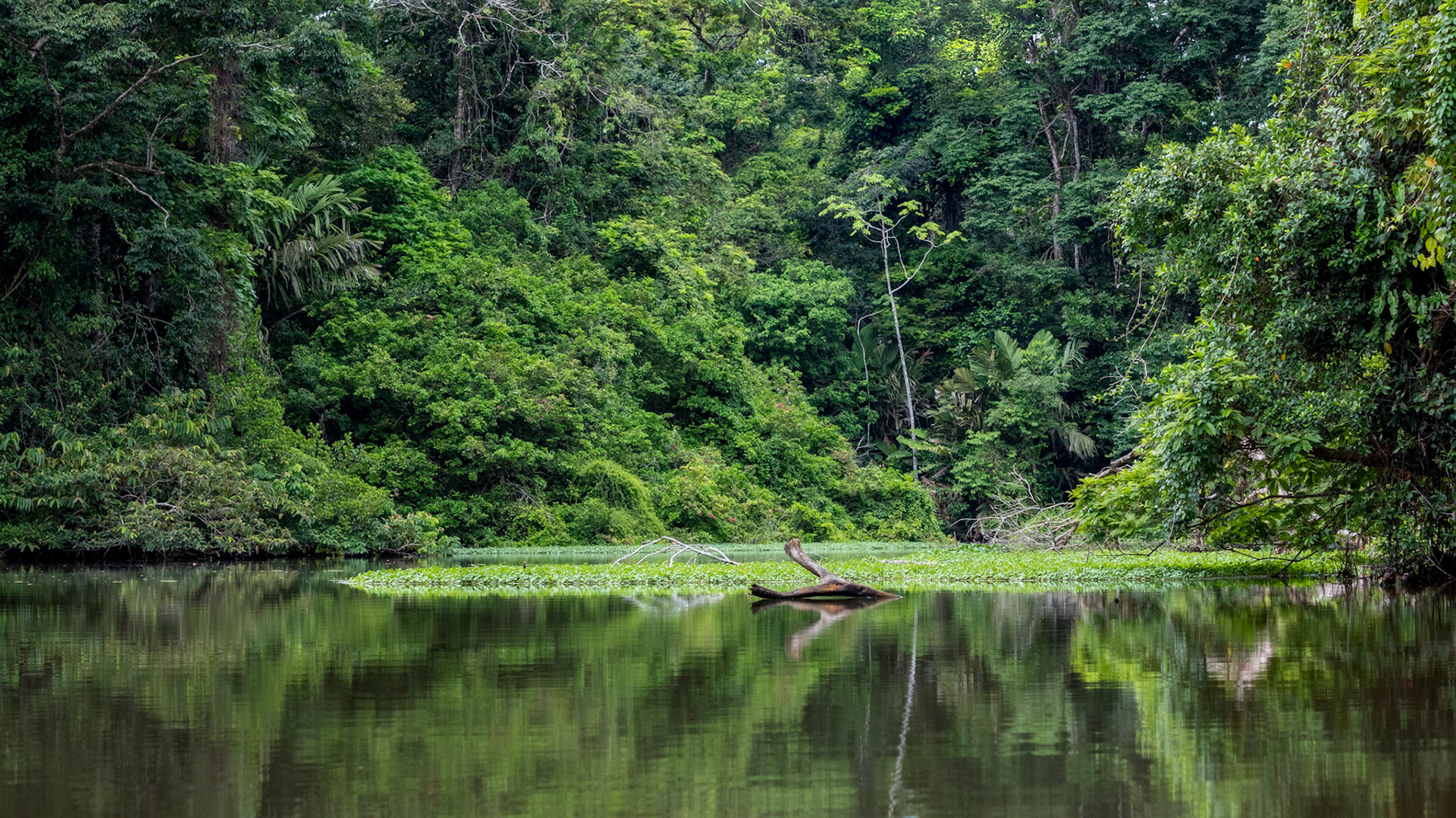 Tortuguero | © Kenneth Vargas